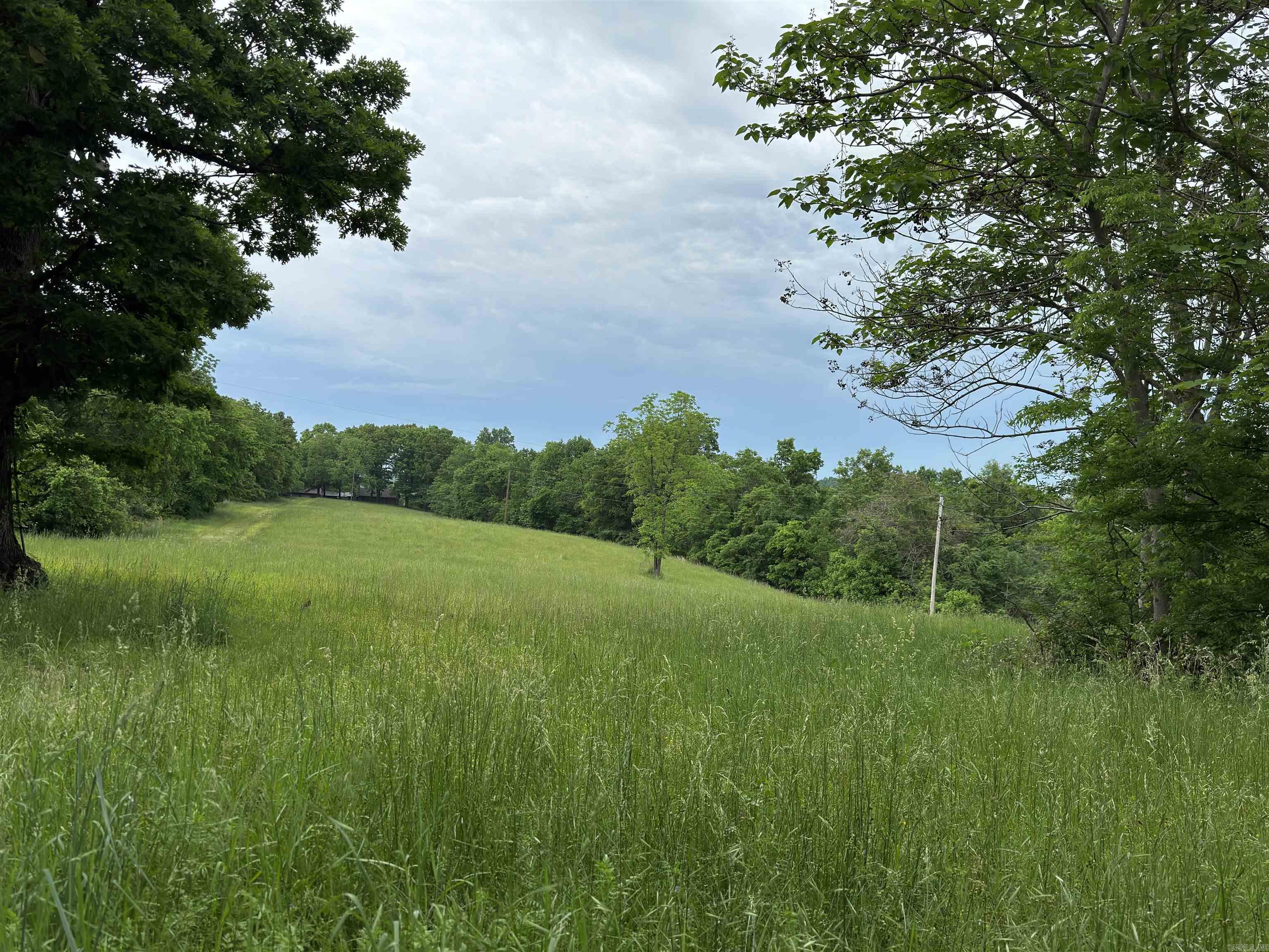 1168  Love Hollow  Mount Pleasant, AR
