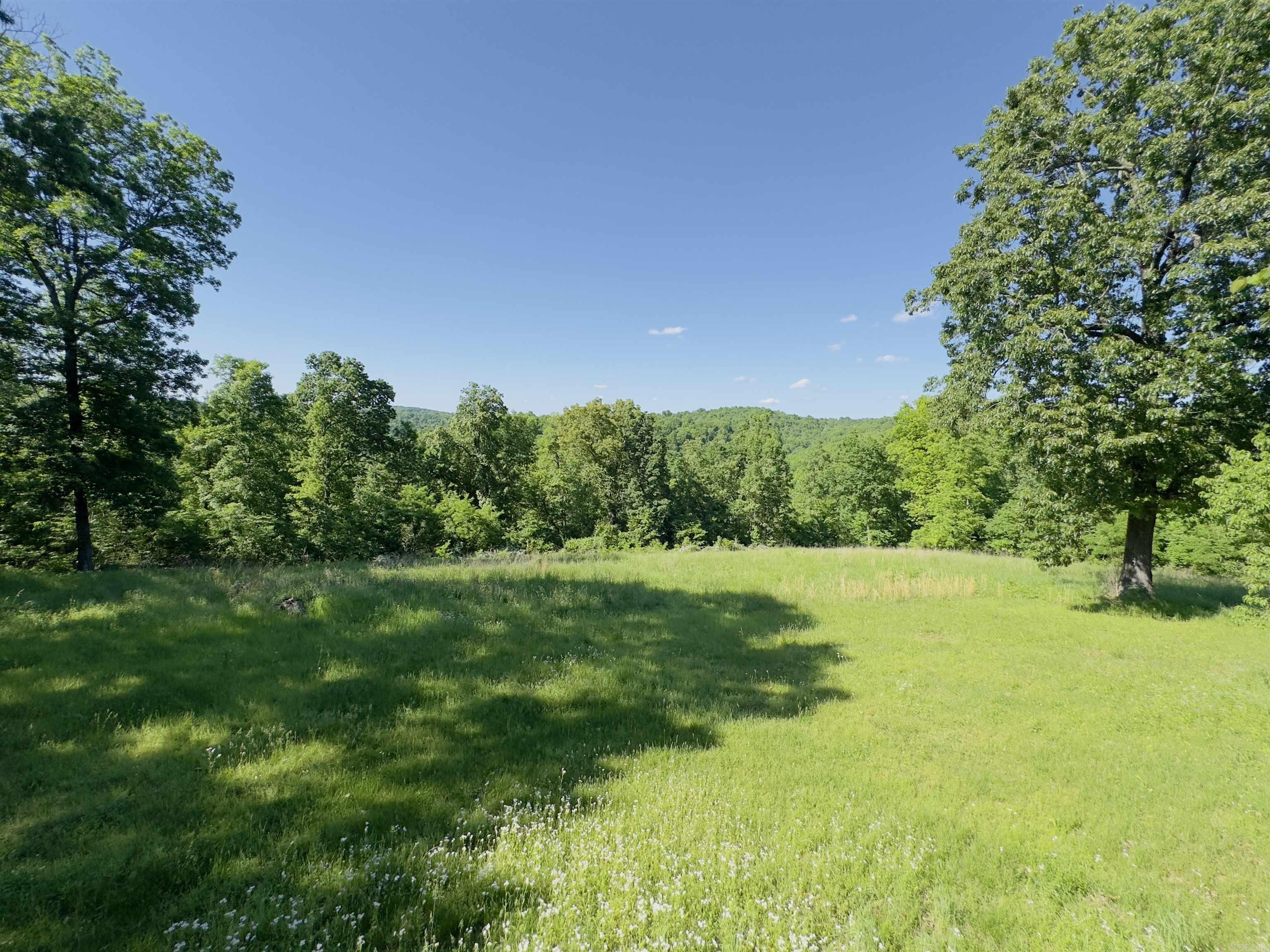 1168  Love Hollow  Mount Pleasant, AR