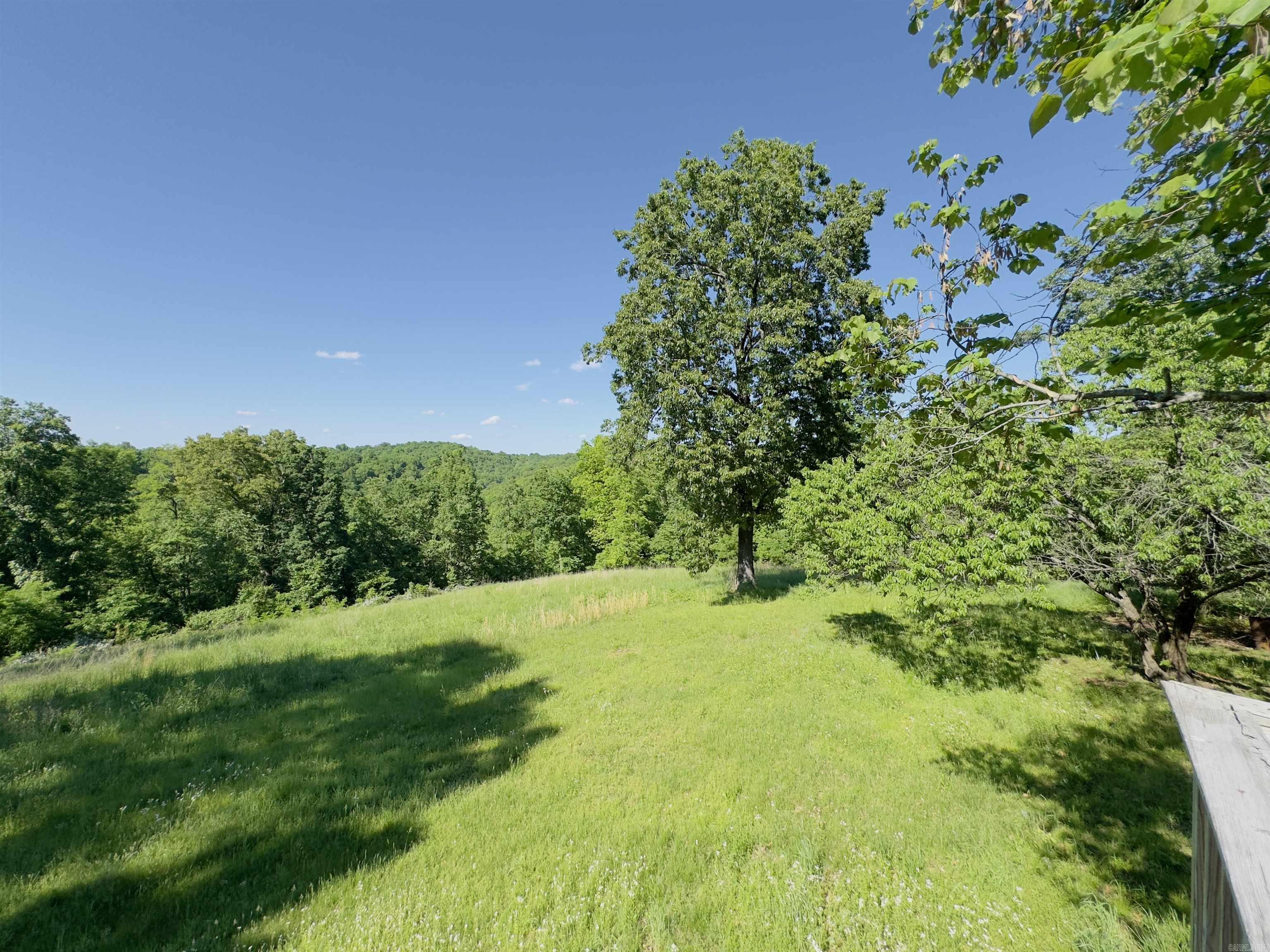 1168  Love Hollow  Mount Pleasant, AR