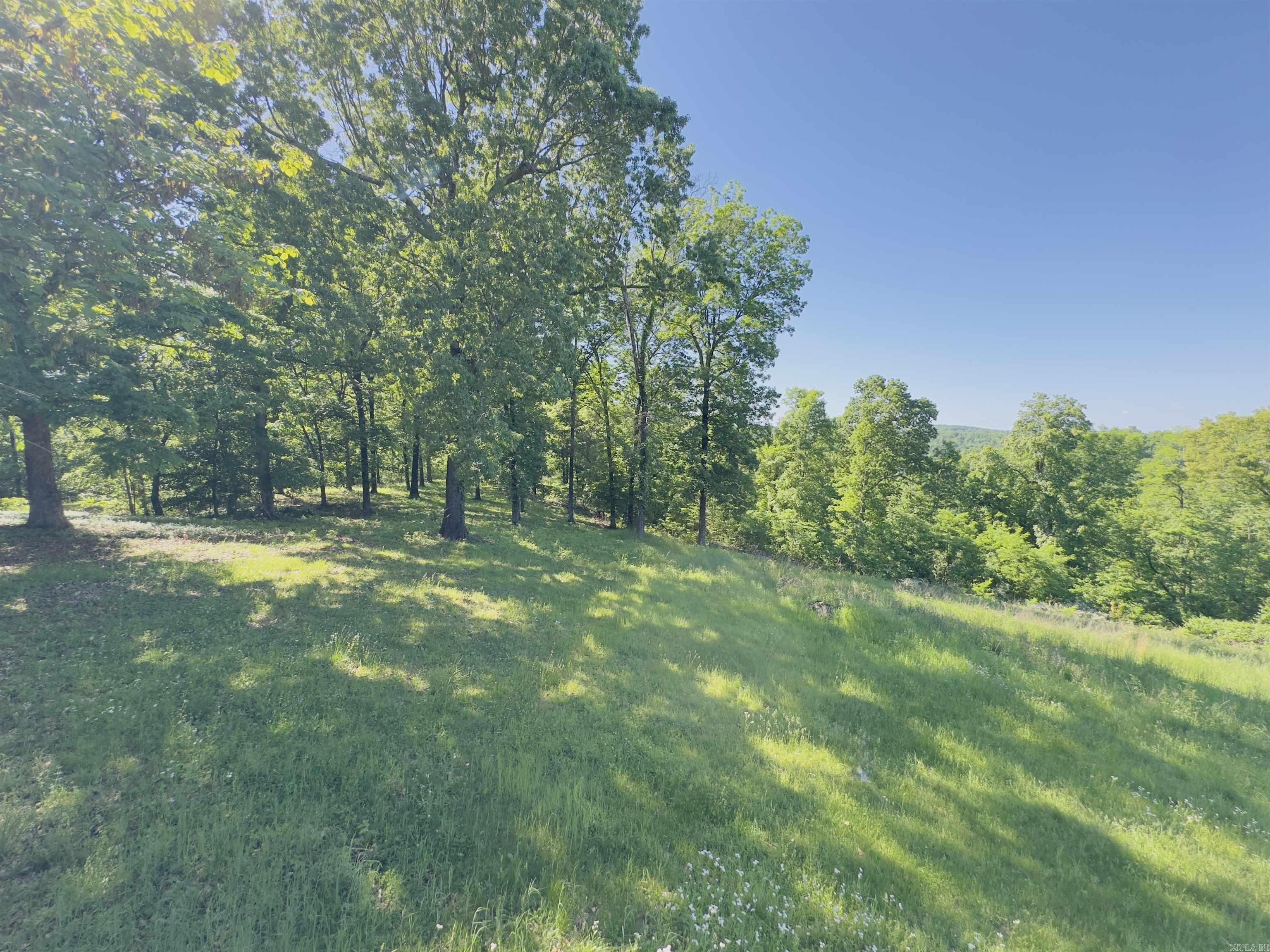1168  Love Hollow  Mount Pleasant, AR