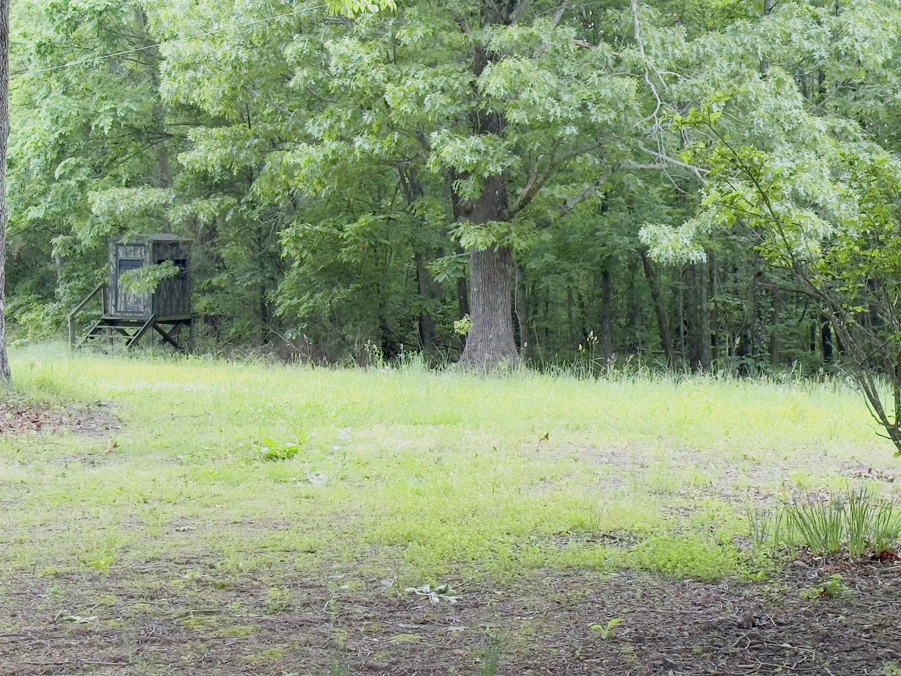1168  Love Hollow  Mount Pleasant, AR