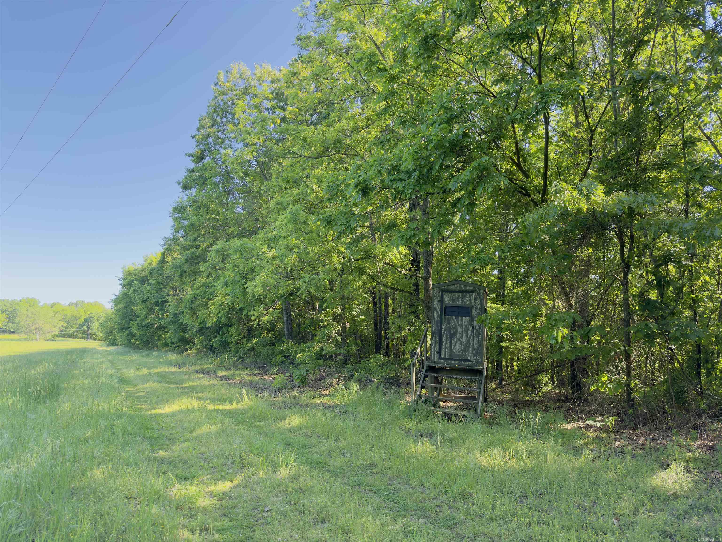 1168  Love Hollow  Mount Pleasant, AR