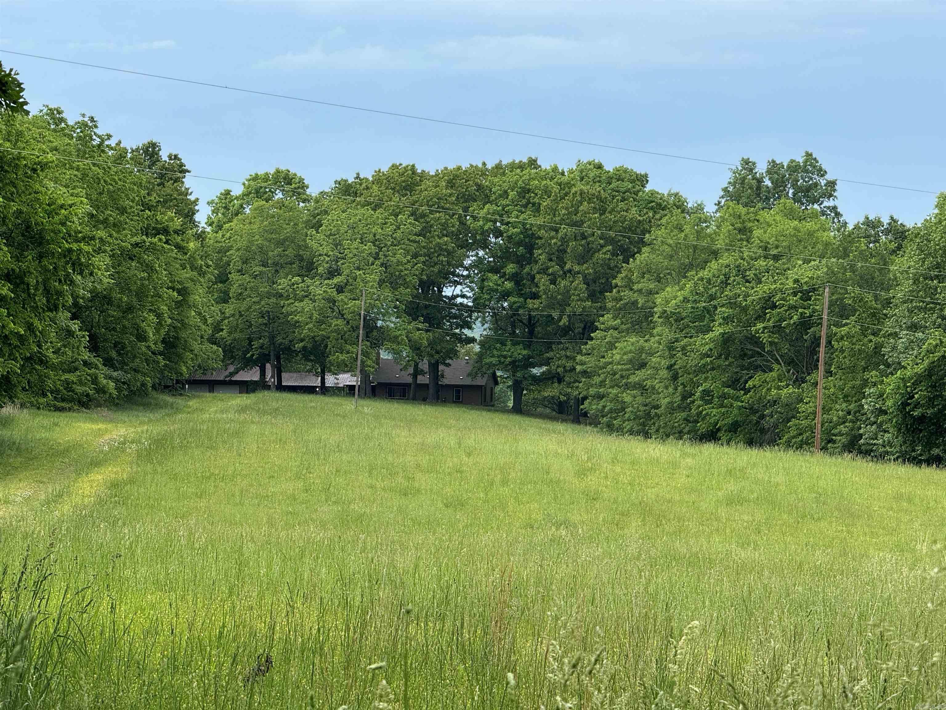 1168  Love Hollow  Mount Pleasant, AR
