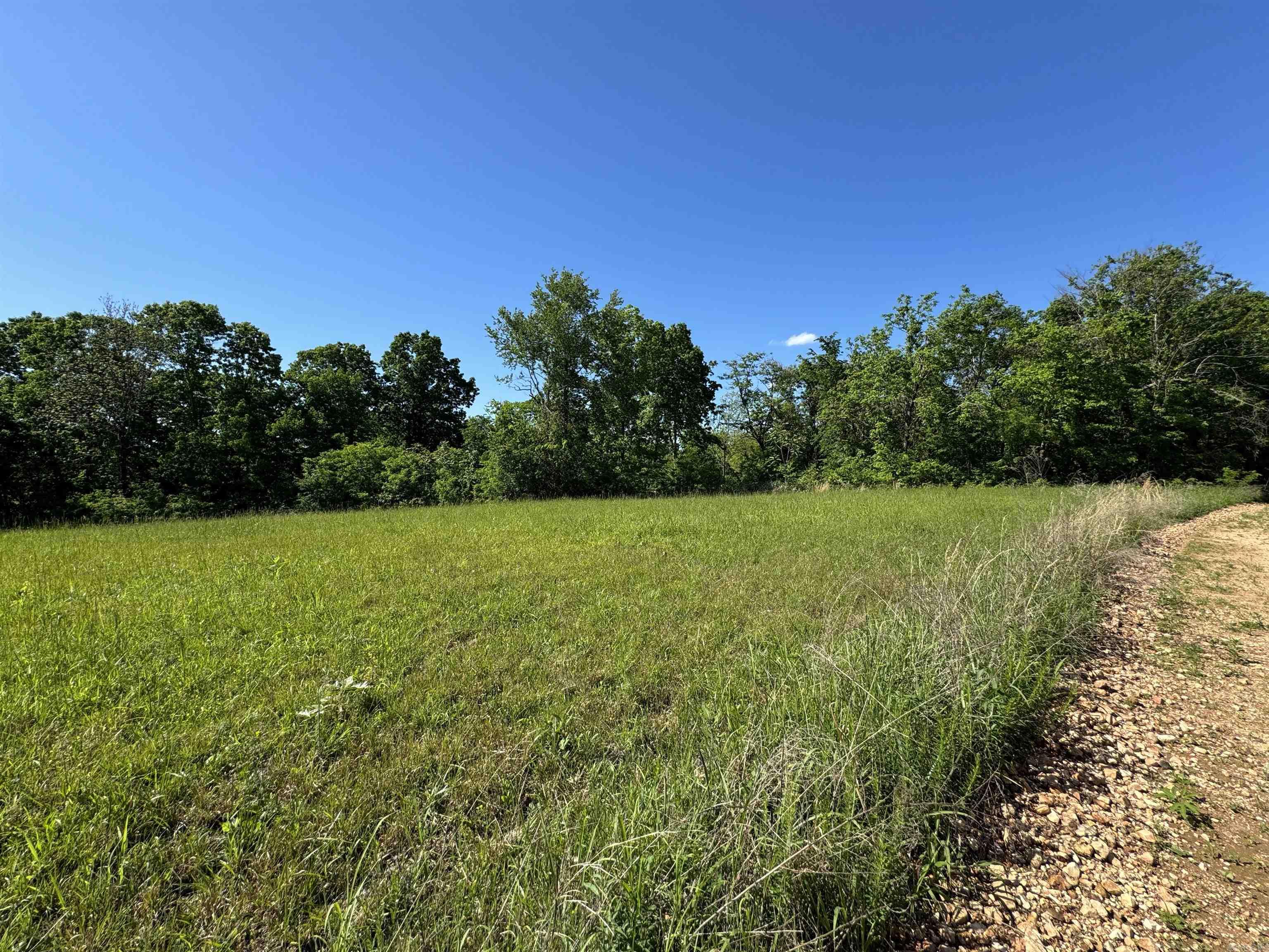 1168  Love Hollow  Mount Pleasant, AR