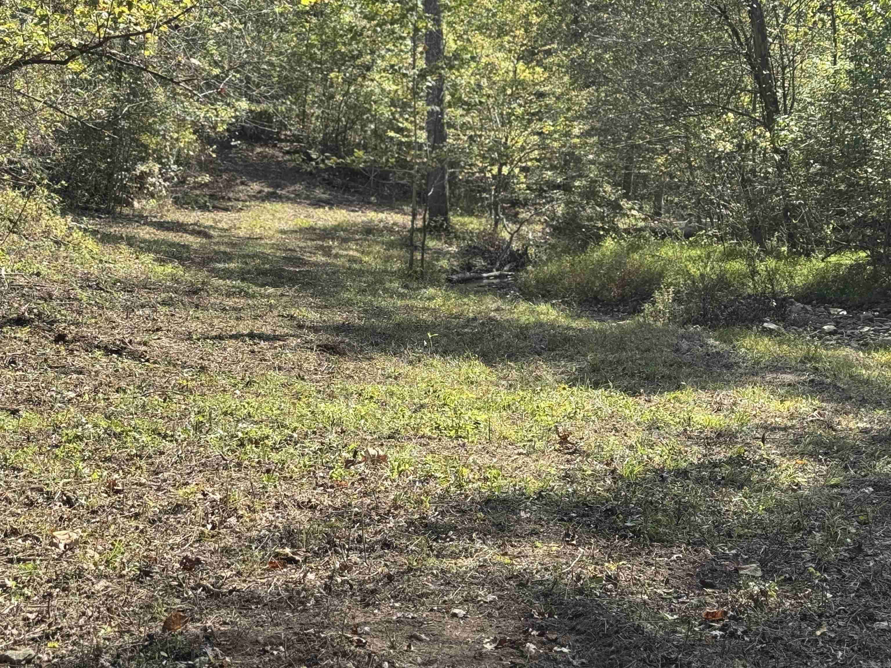 1168  Love Hollow  Mount Pleasant, AR