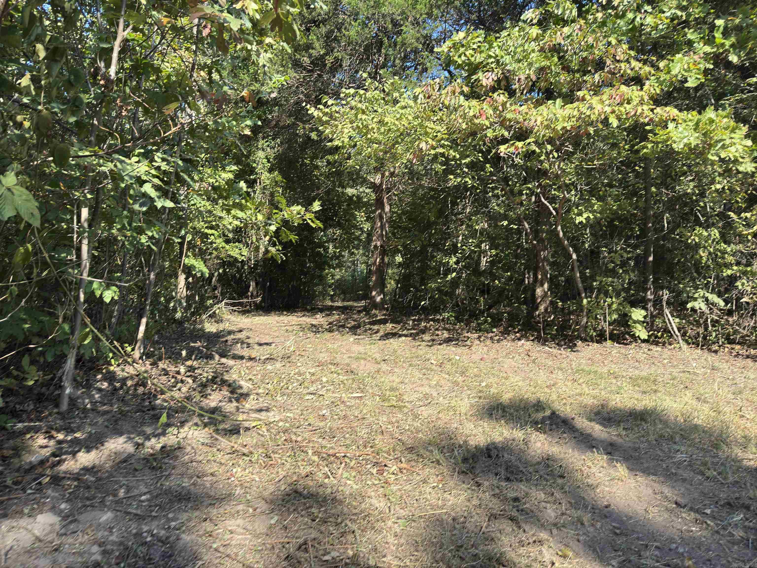 1168  Love Hollow  Mount Pleasant, AR