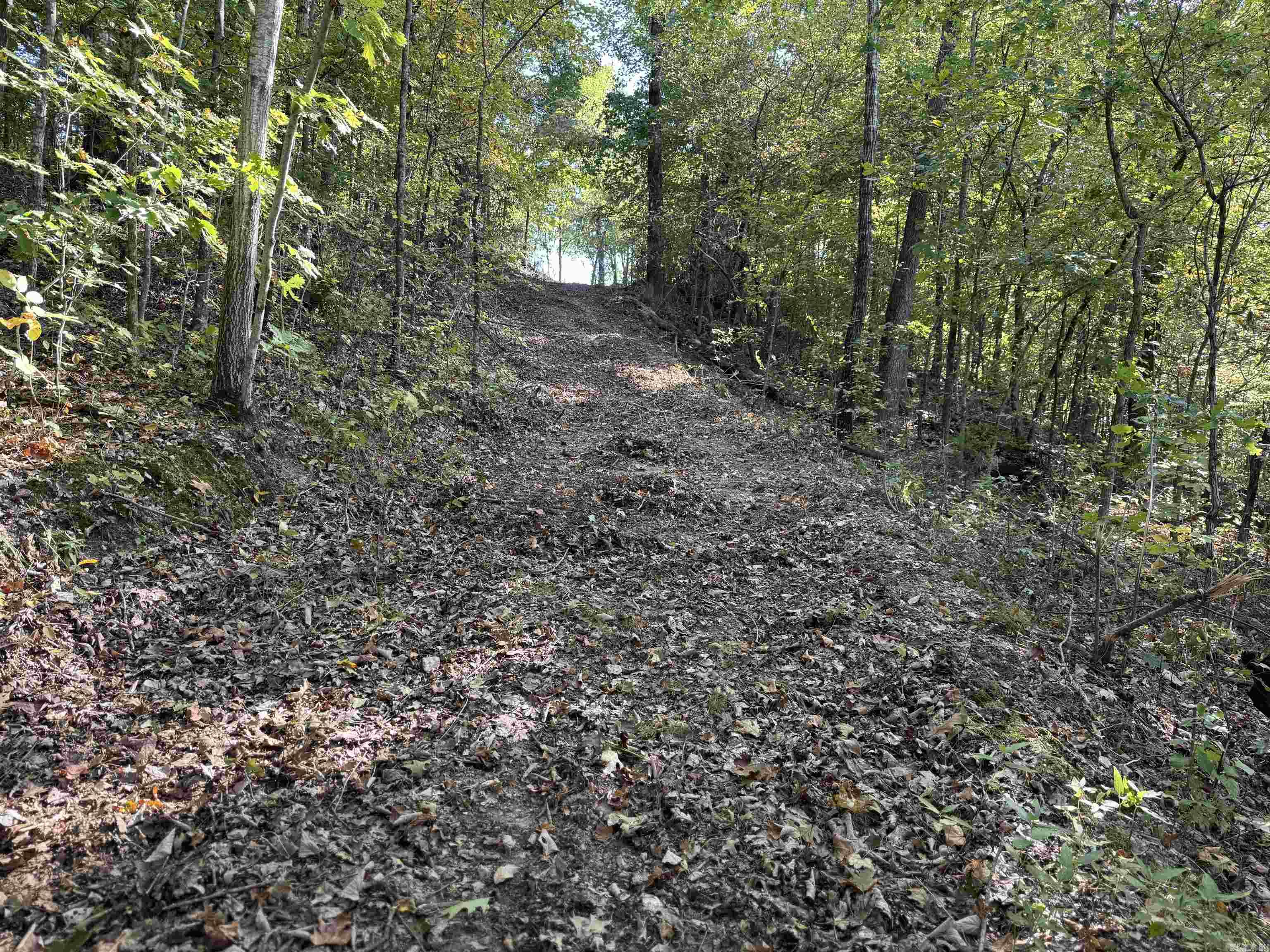 1168  Love Hollow  Mount Pleasant, AR