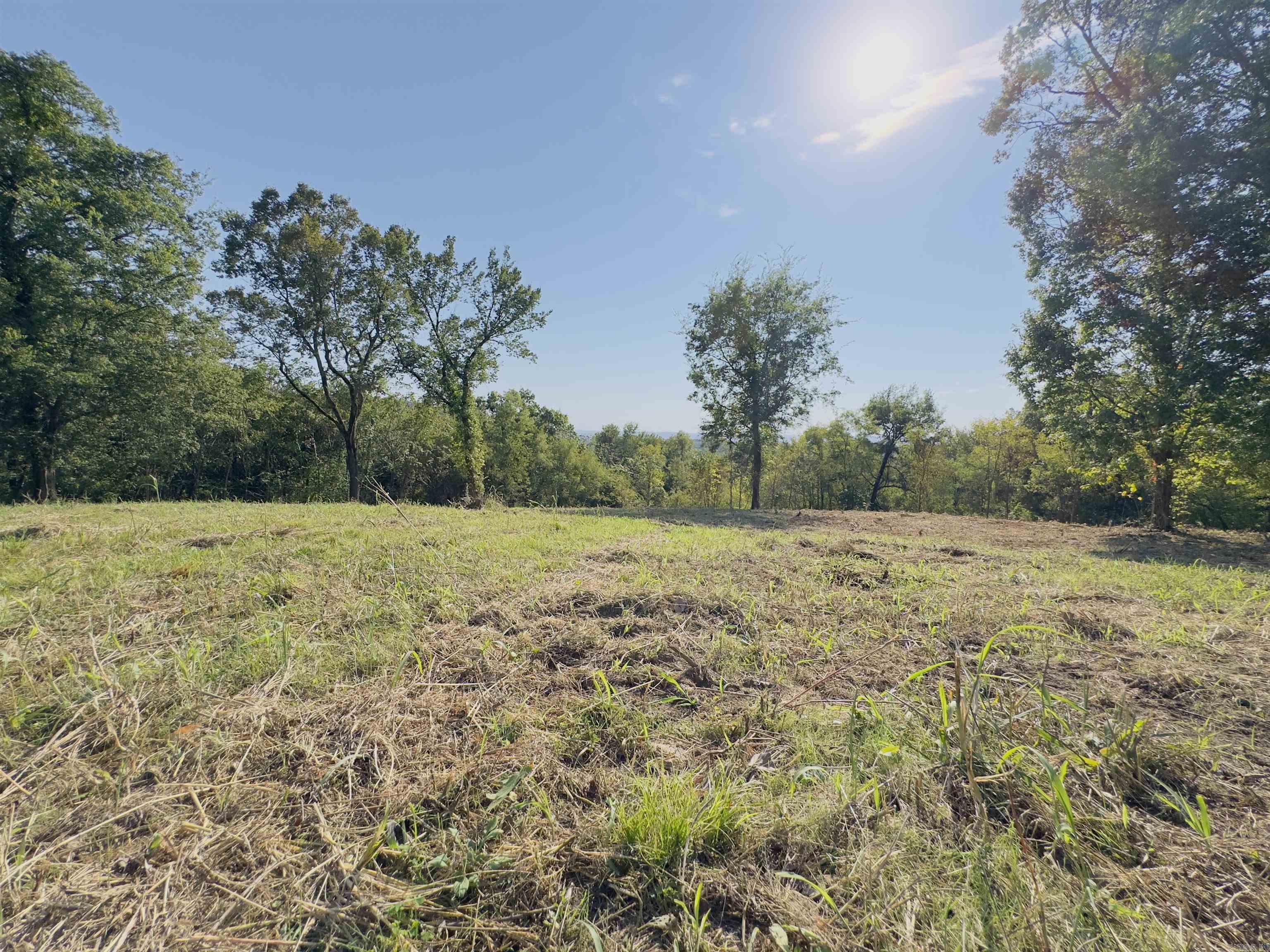 1168  Love Hollow  Mount Pleasant, AR