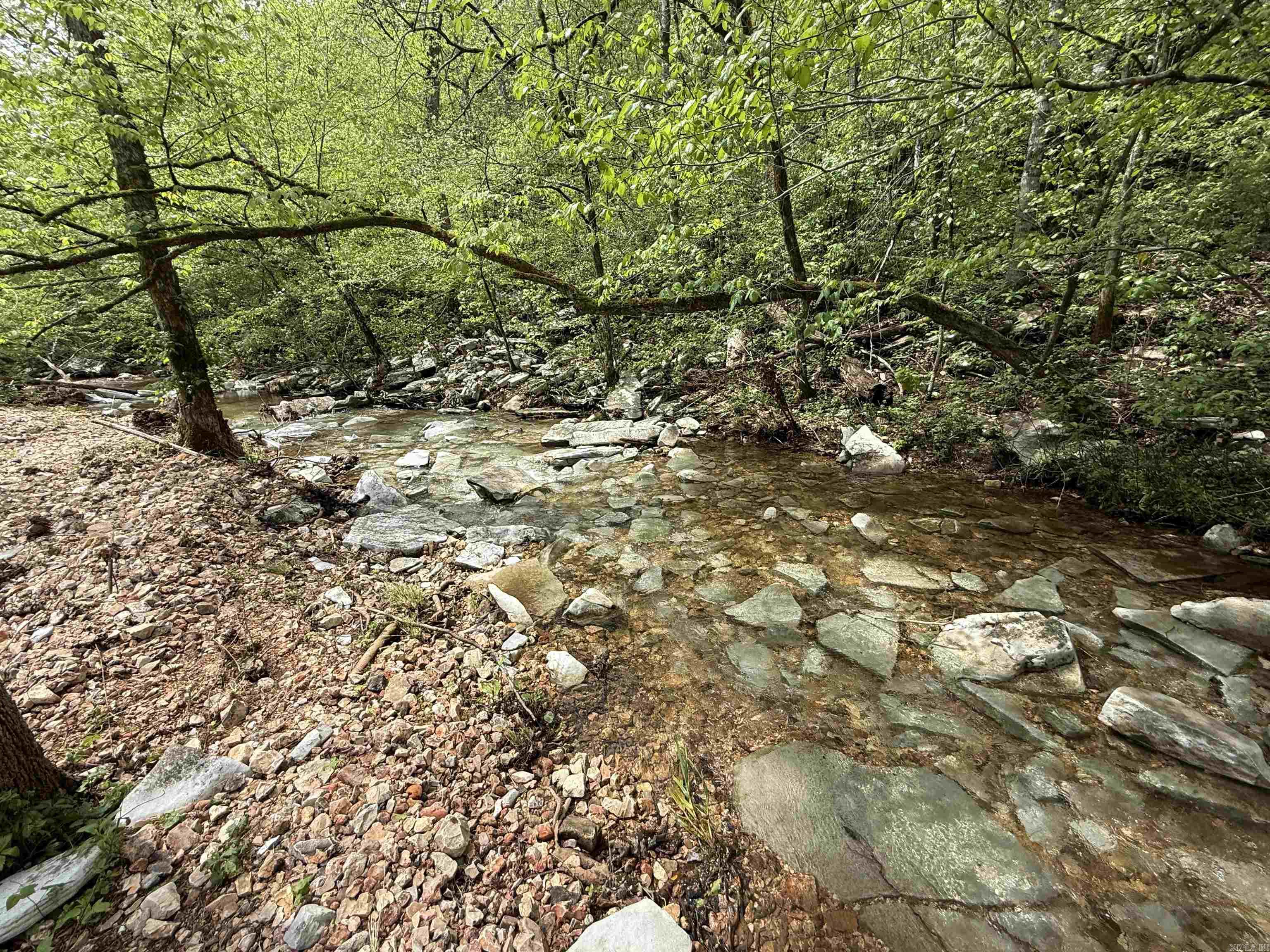 1168  Love Hollow  Mount Pleasant, AR