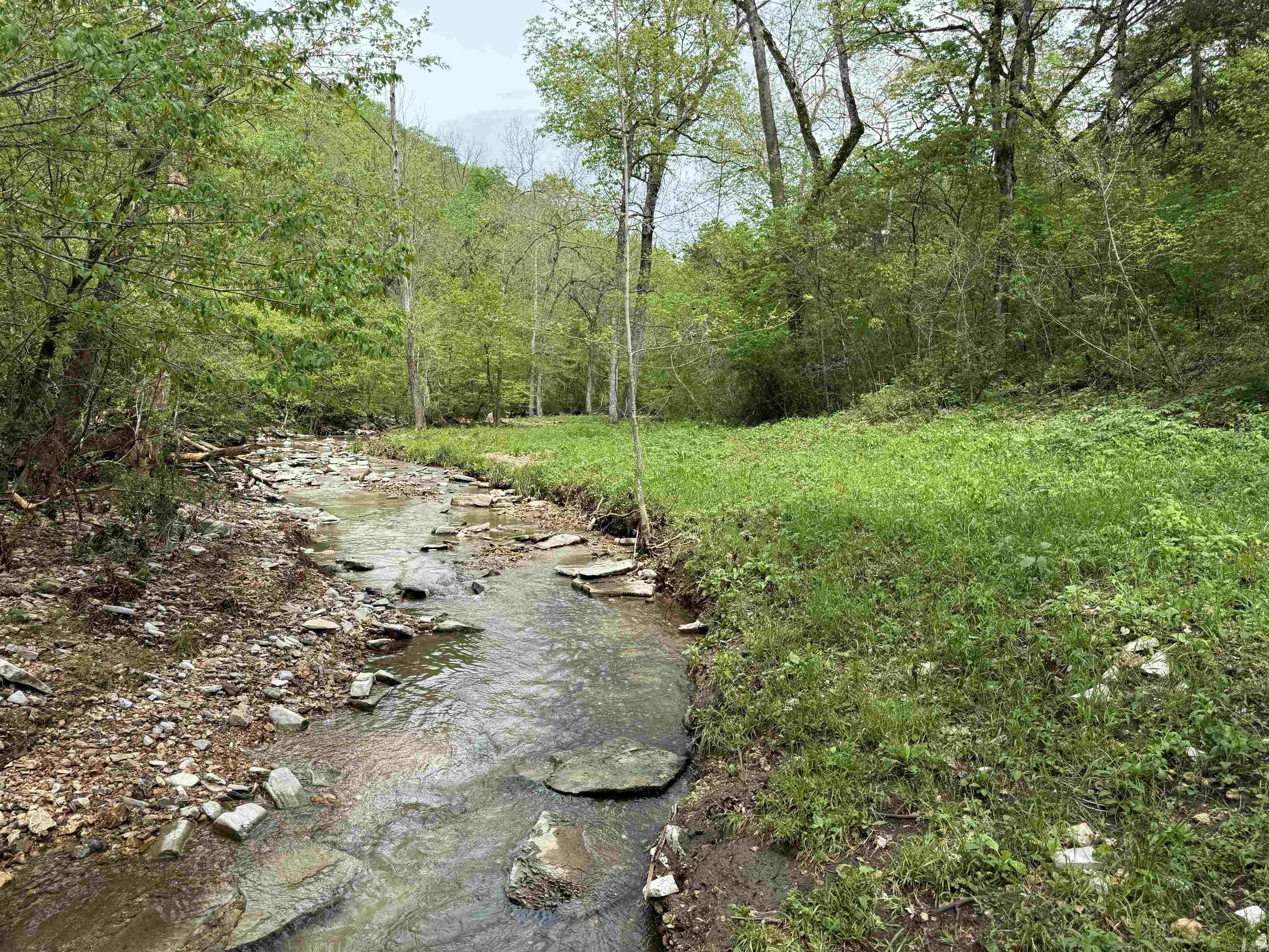 1168  Love Hollow  Mount Pleasant, AR