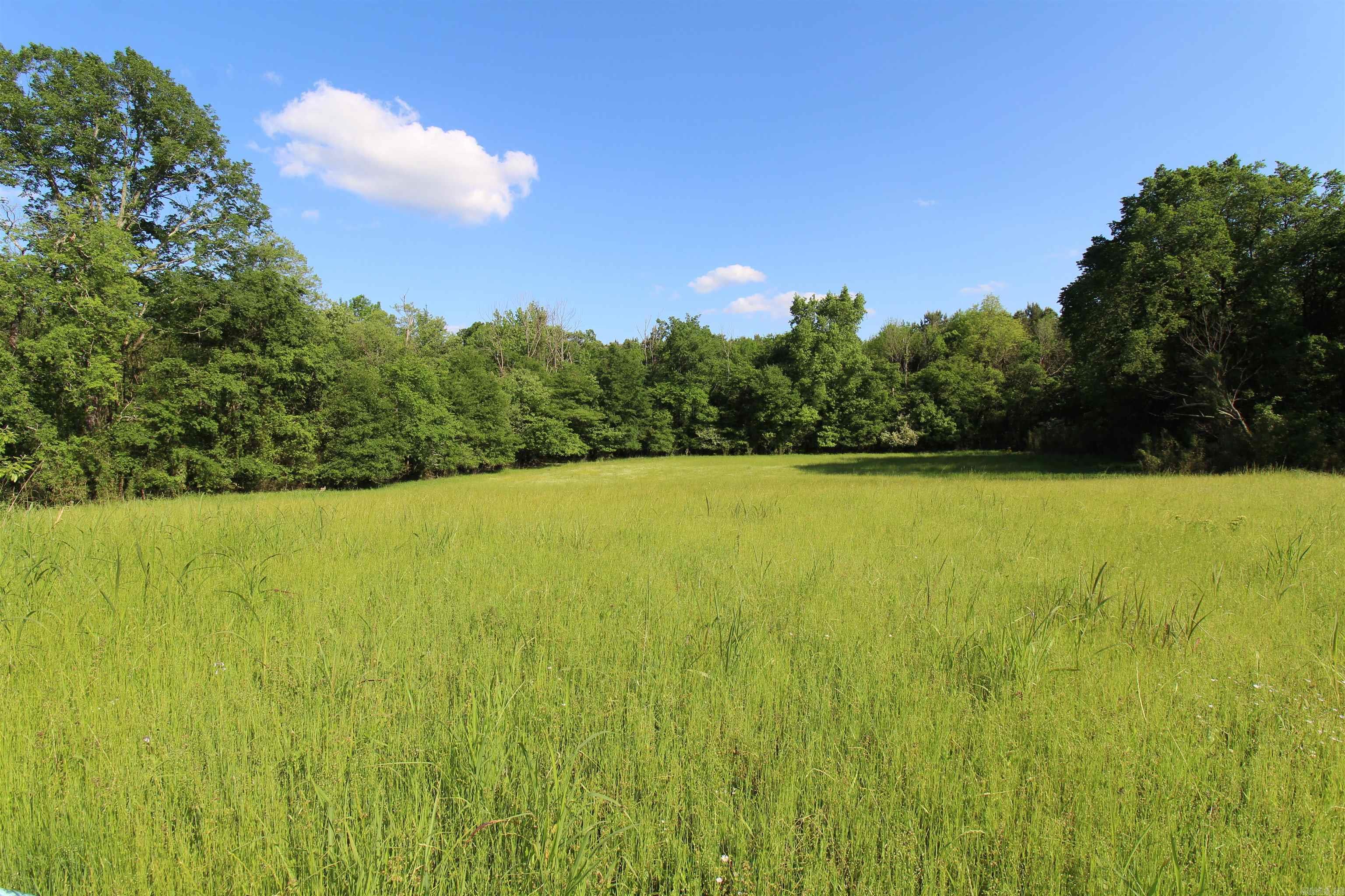 3030  Countness Road  Friendship, AR