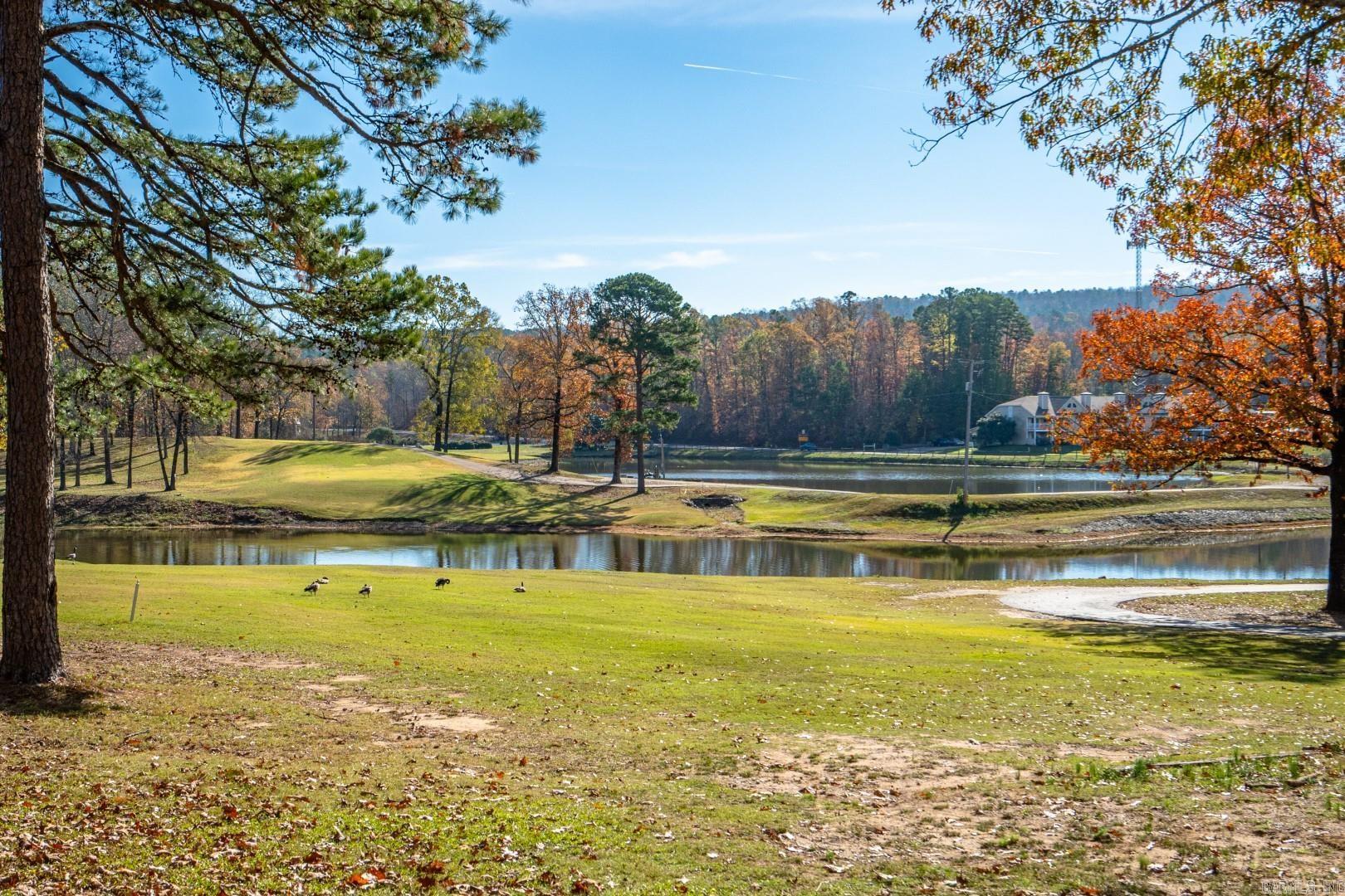 209 Pebble Beach Drive Hot Springs, AR 71913