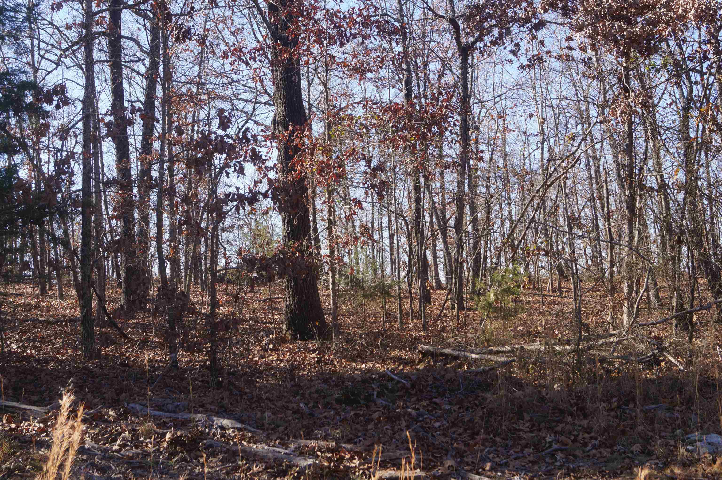 TBD  Hwy 63 N  Hardy, AR