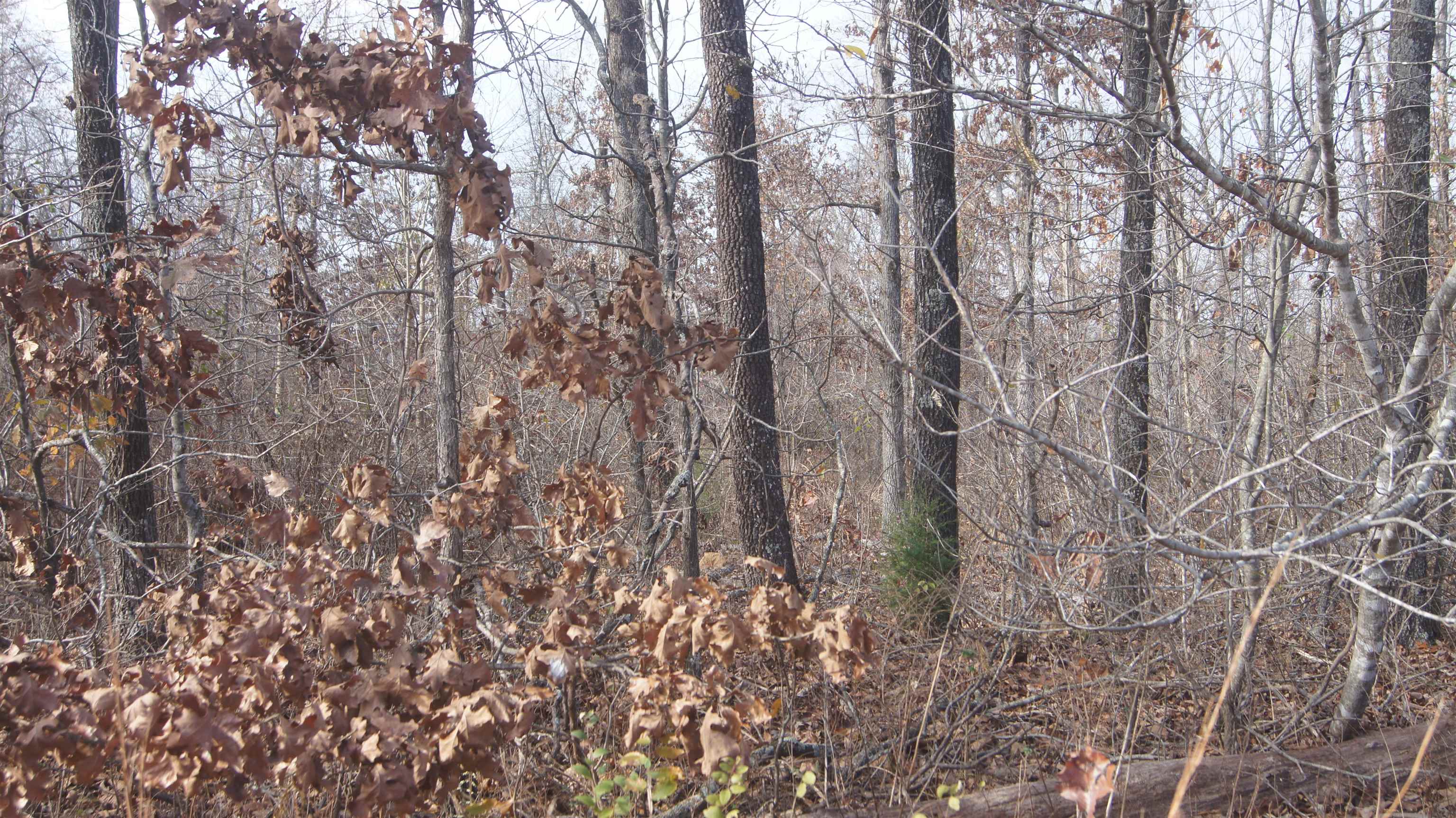 TBD  Hwy 63 N  Hardy, AR
