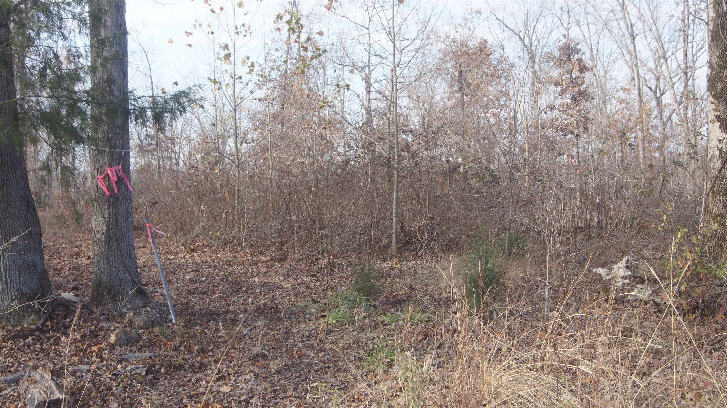 TBD  Hwy 63 N  Hardy, AR