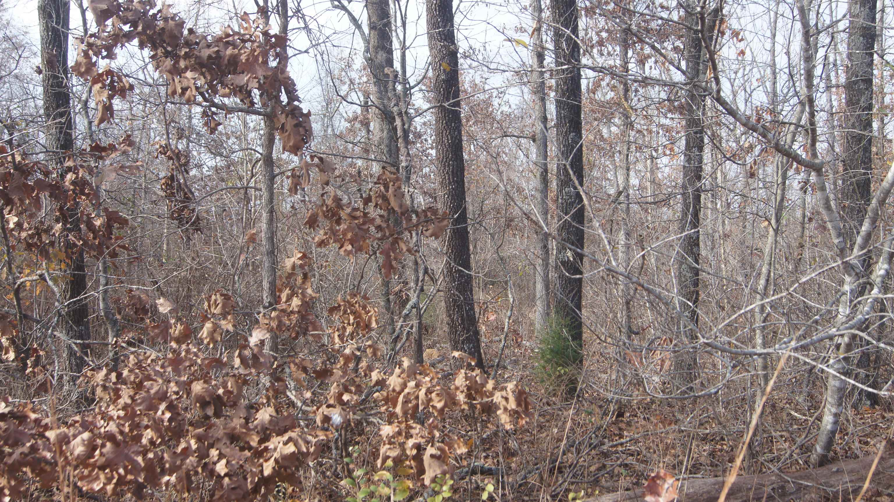 TBD  Hwy 63 N  Hardy, AR
