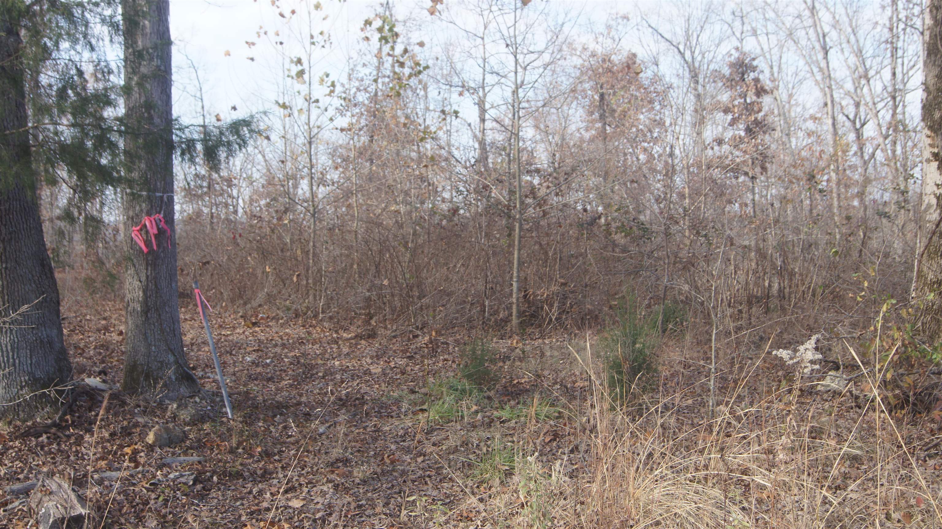 TBD  Hwy 63 N  Hardy, AR