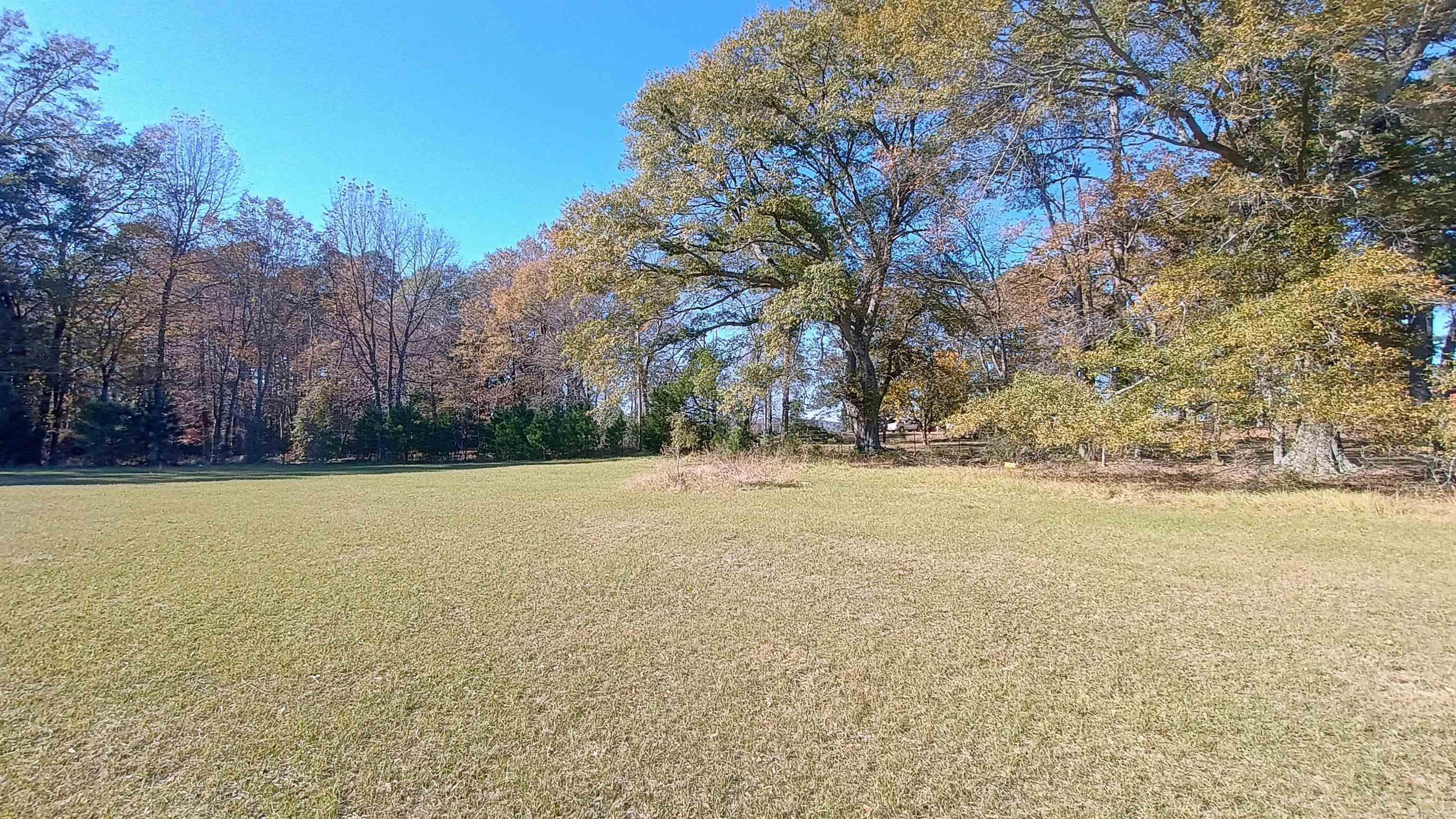 843  Owens  Amity, AR