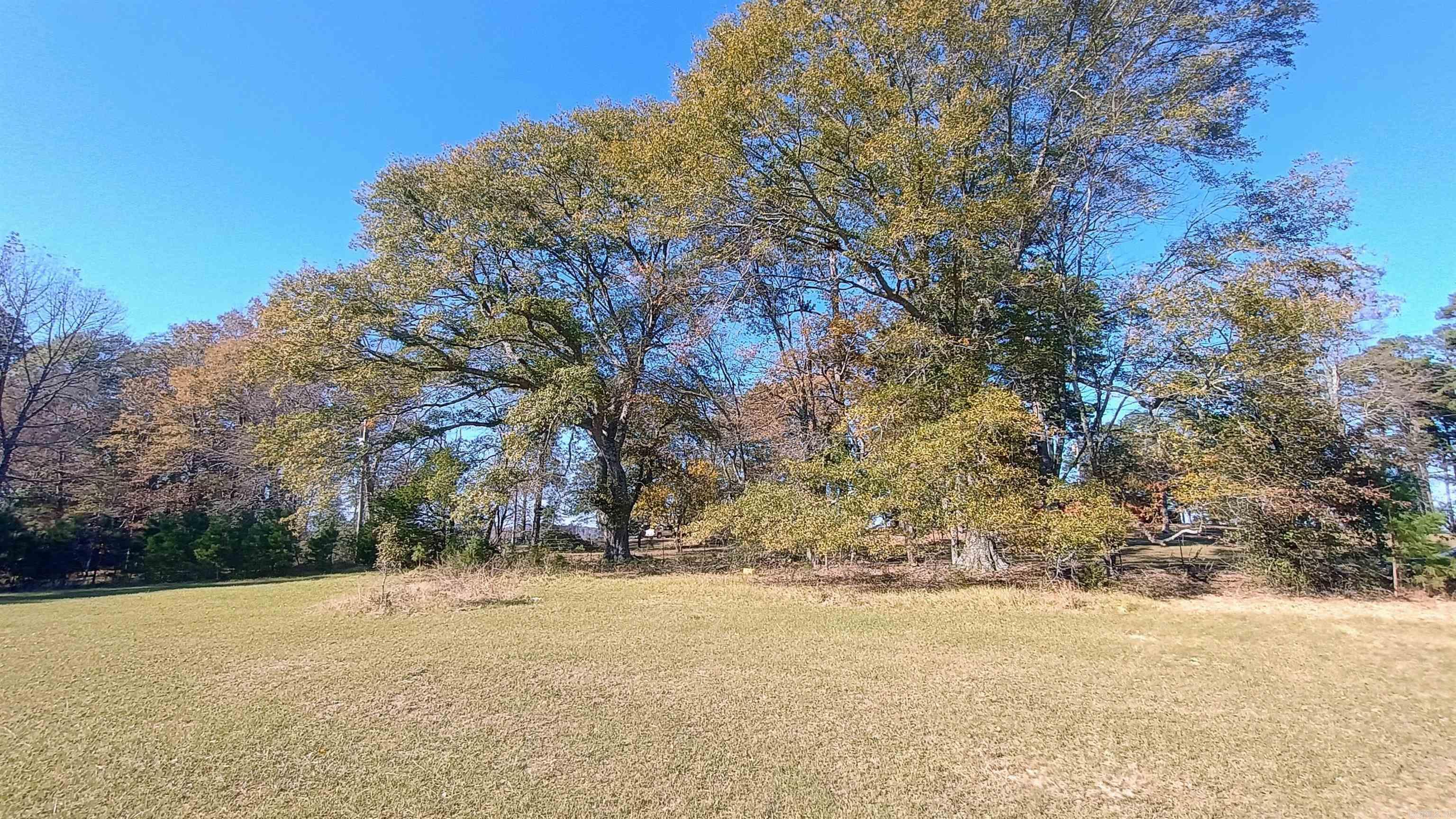 843  Owens  Amity, AR