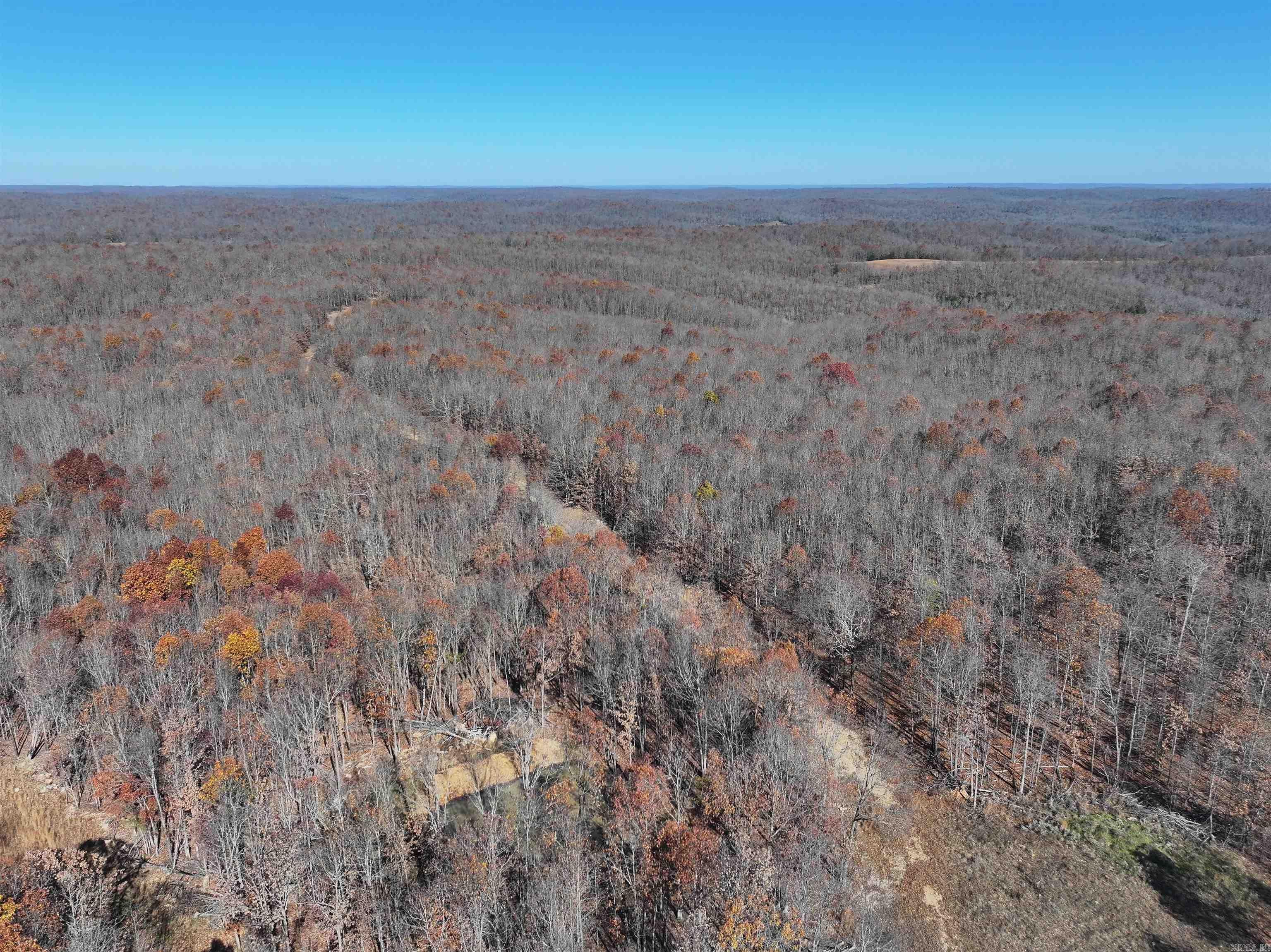 566  Bethany  Ravenden Springs, AR
