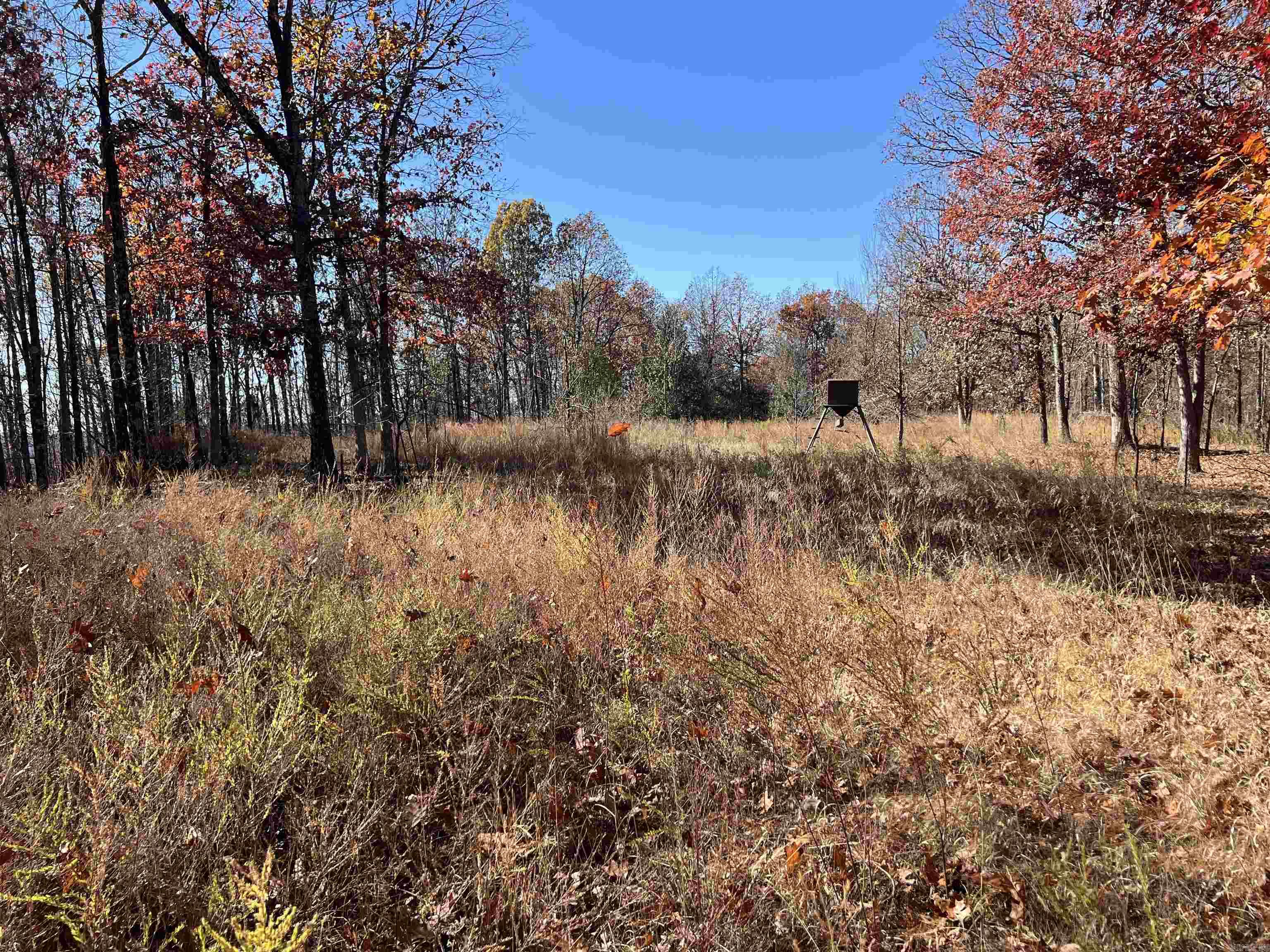 566  Bethany  Ravenden Springs, AR