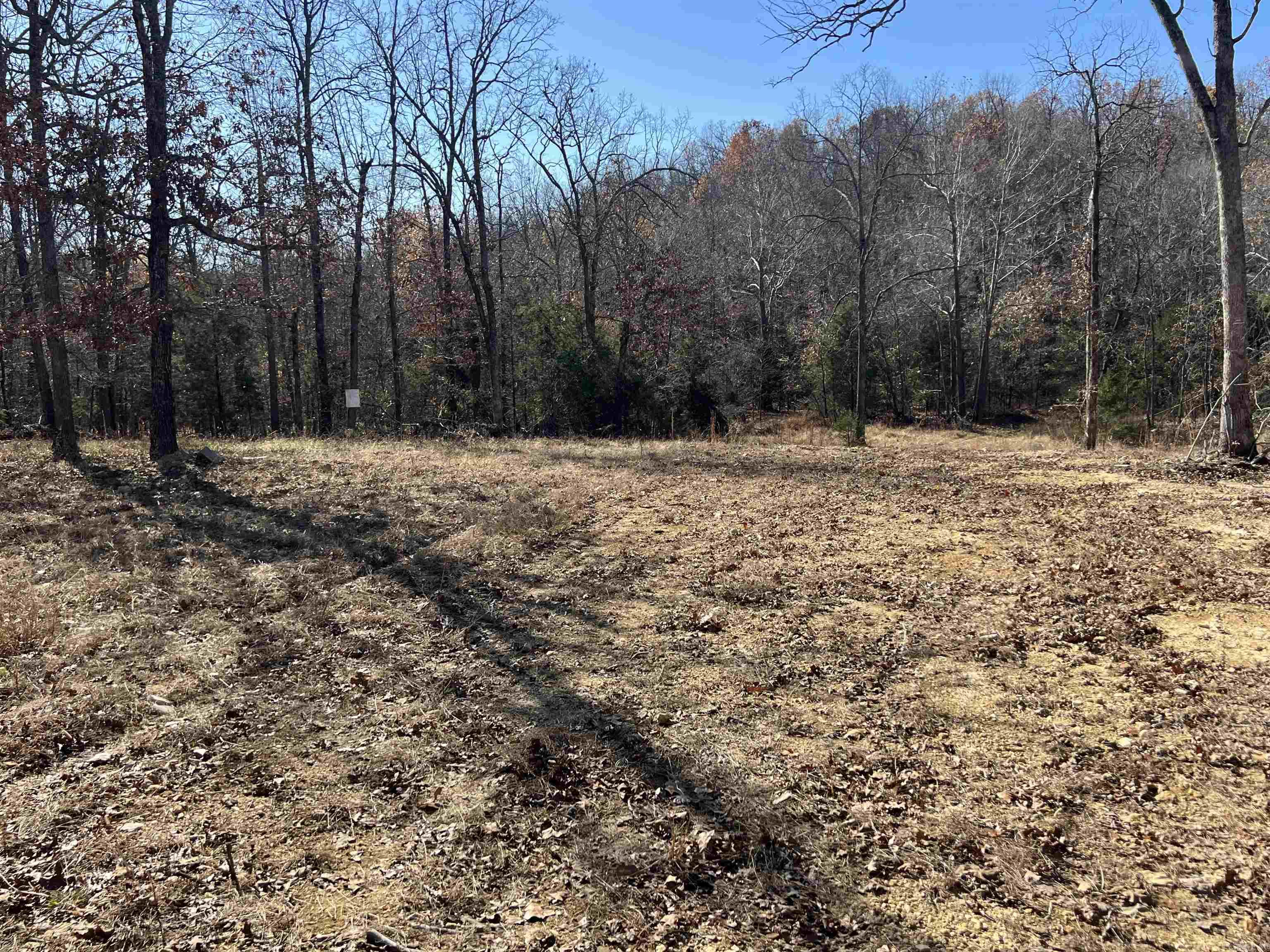 566  Bethany  Ravenden Springs, AR