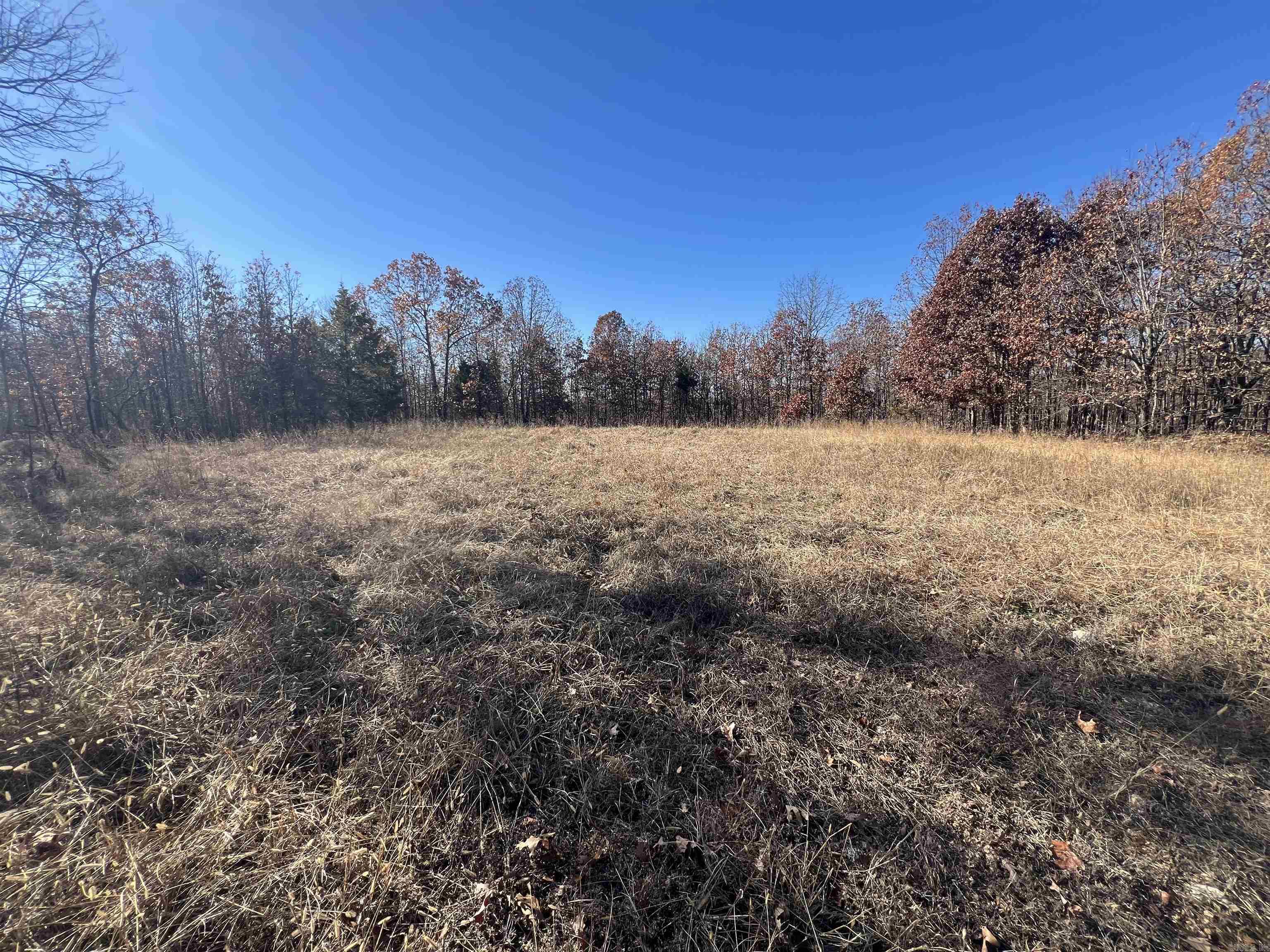566  Bethany  Ravenden Springs, AR