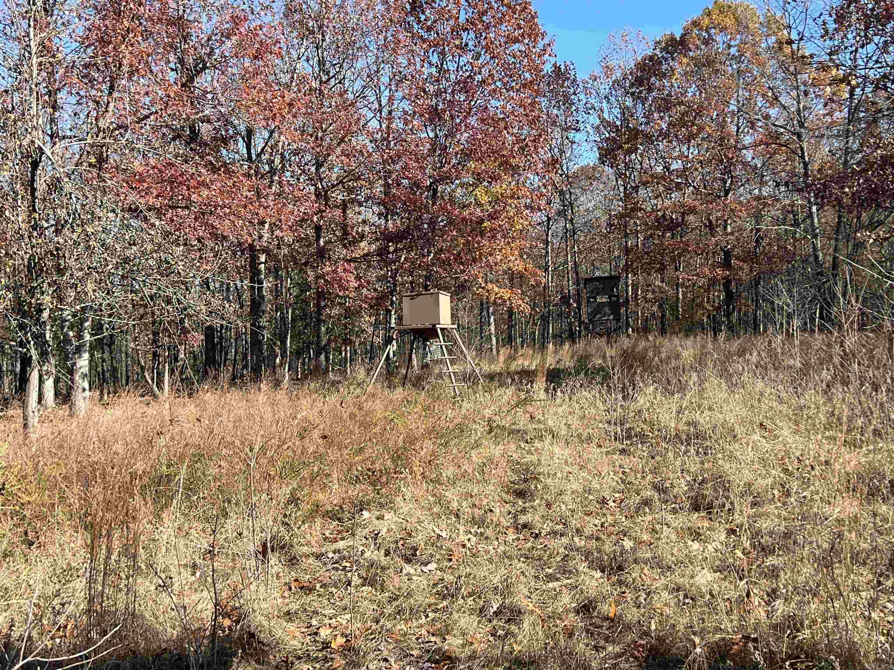 566  Bethany  Ravenden Springs, AR