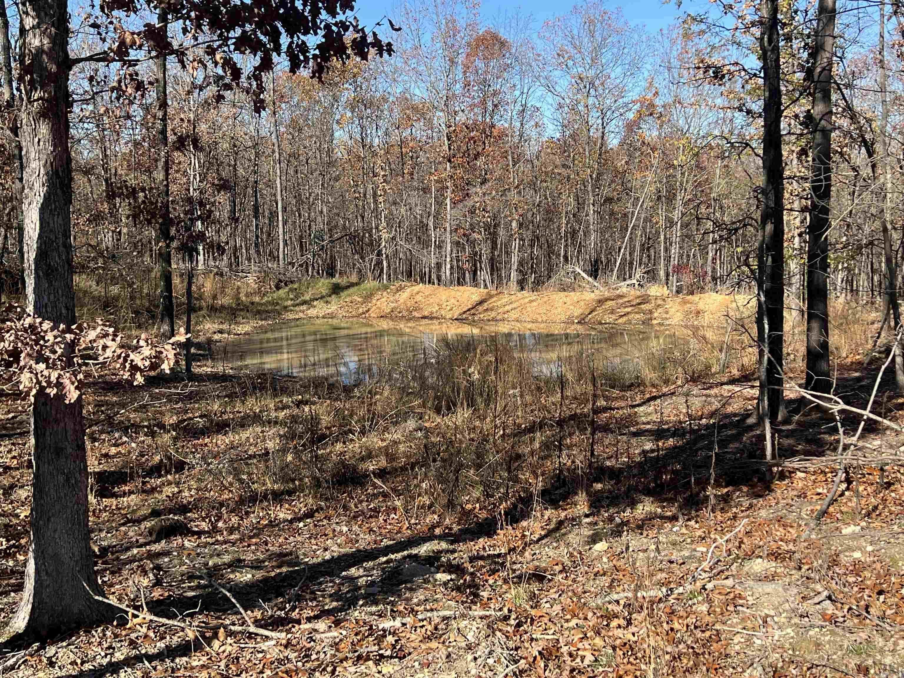 566  Bethany  Ravenden Springs, AR