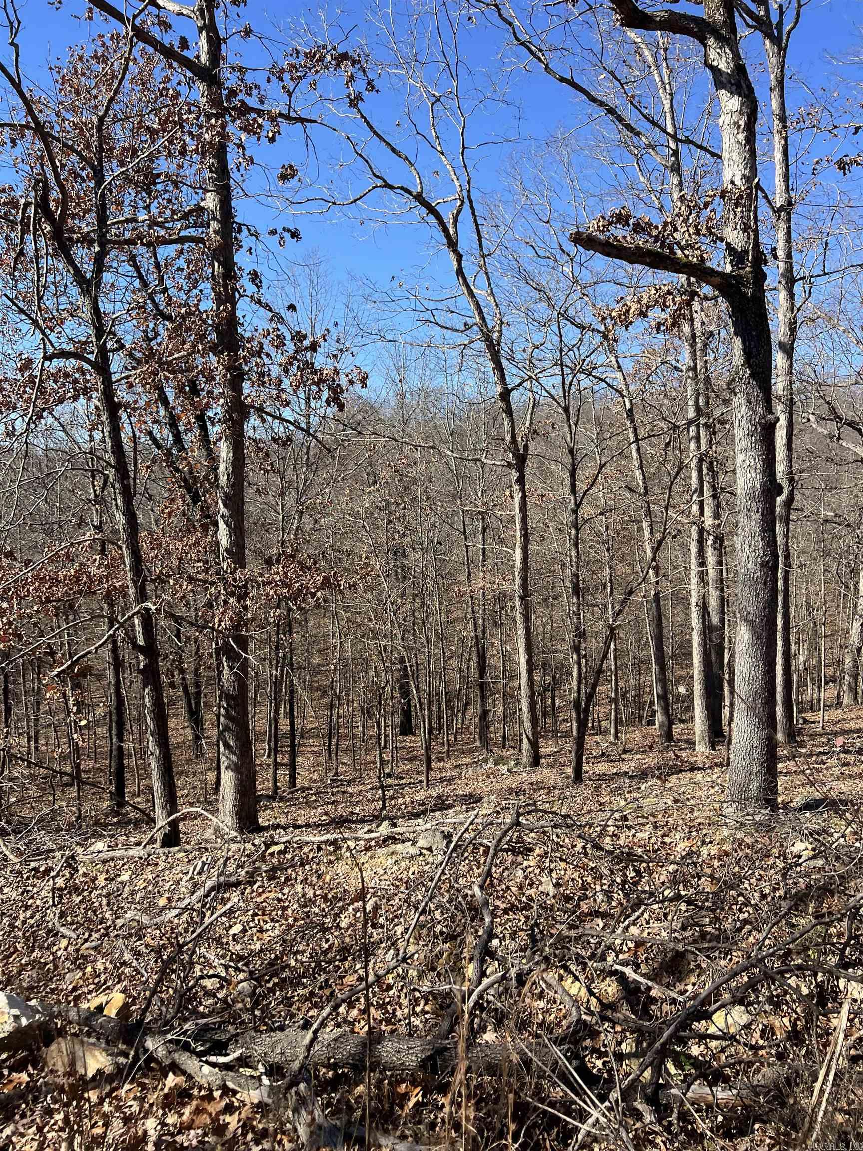 566  Bethany  Ravenden Springs, AR
