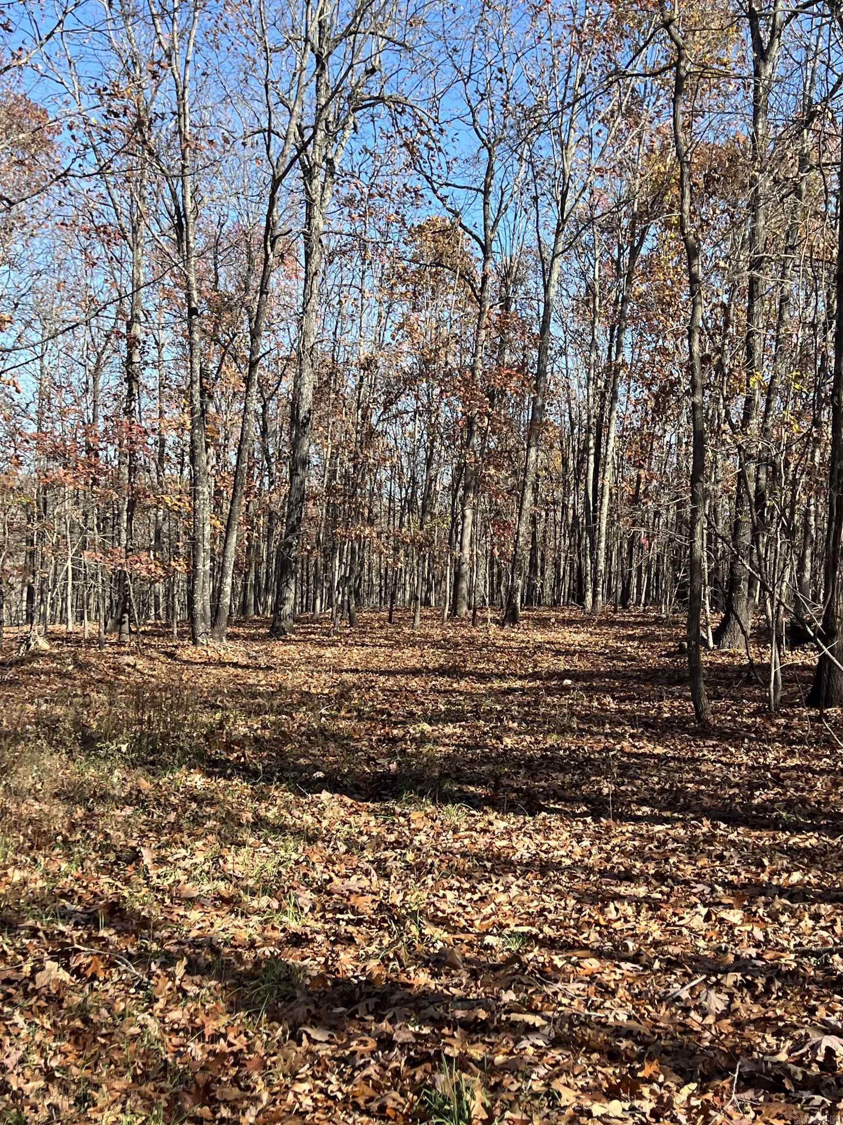 566  Bethany  Ravenden Springs, AR