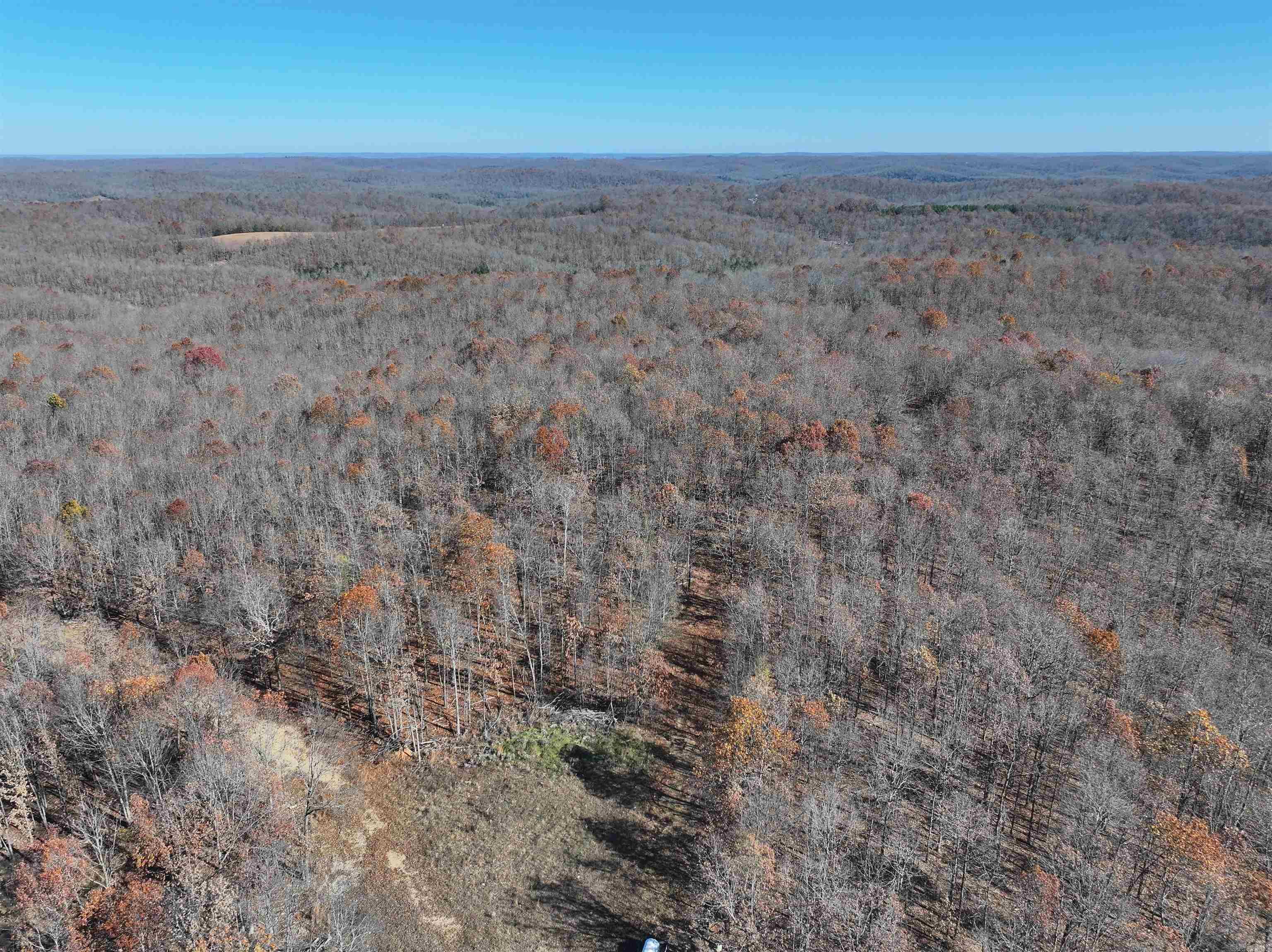 566  Bethany  Ravenden Springs, AR