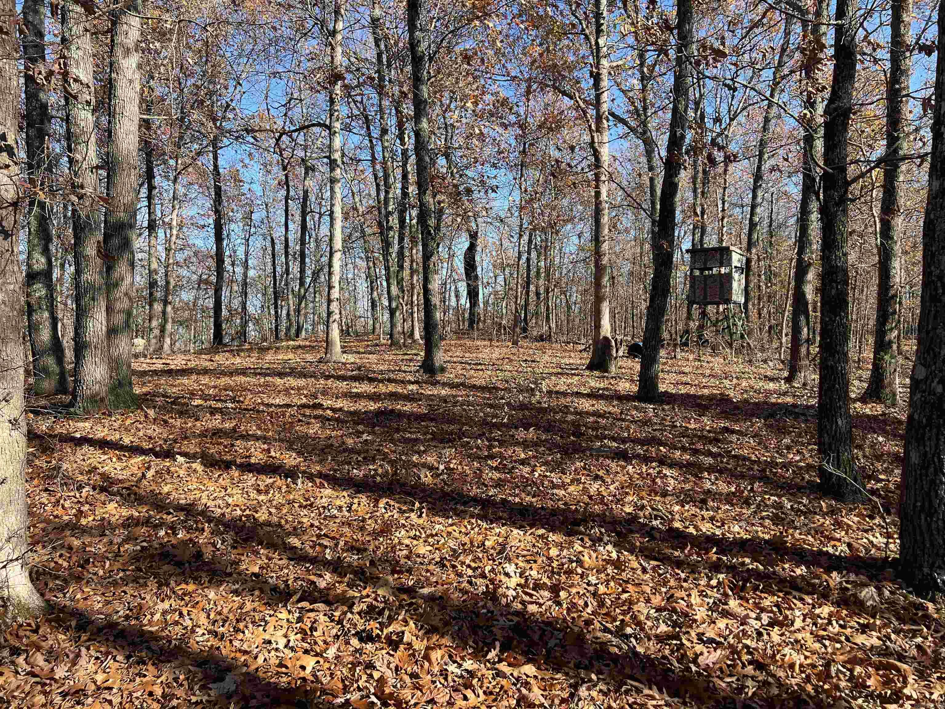 566  Bethany  Ravenden Springs, AR
