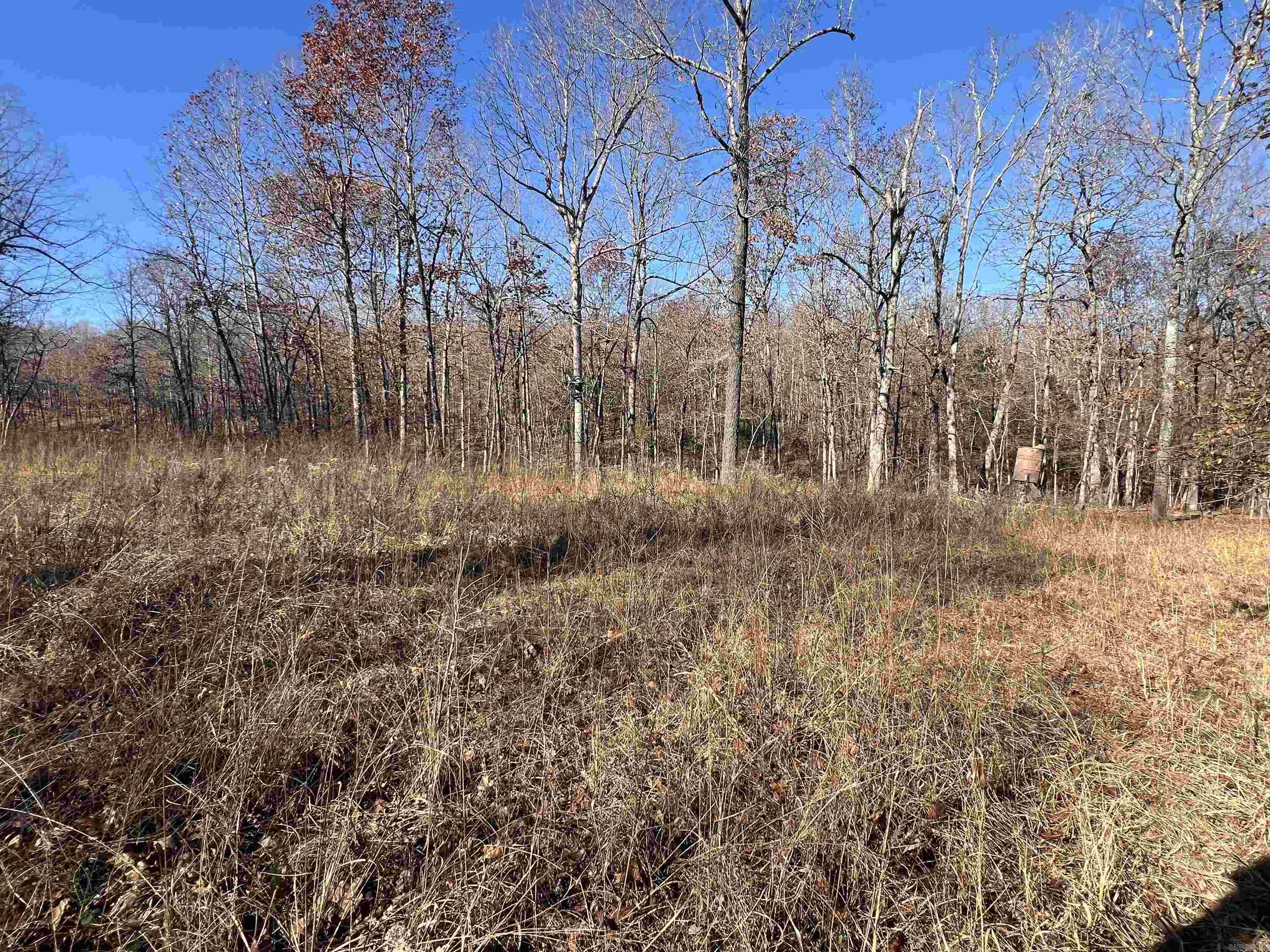 566  Bethany  Ravenden Springs, AR
