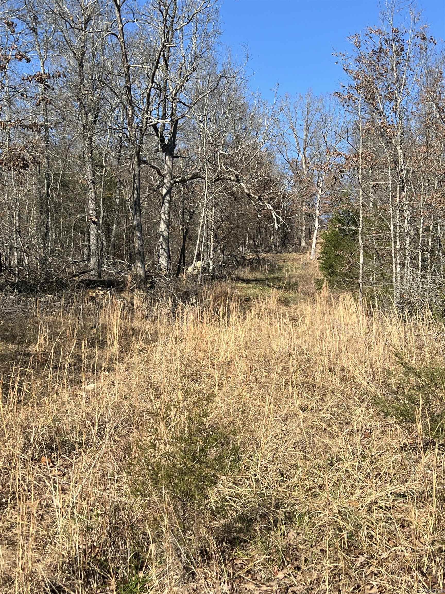 566  Bethany  Ravenden Springs, AR