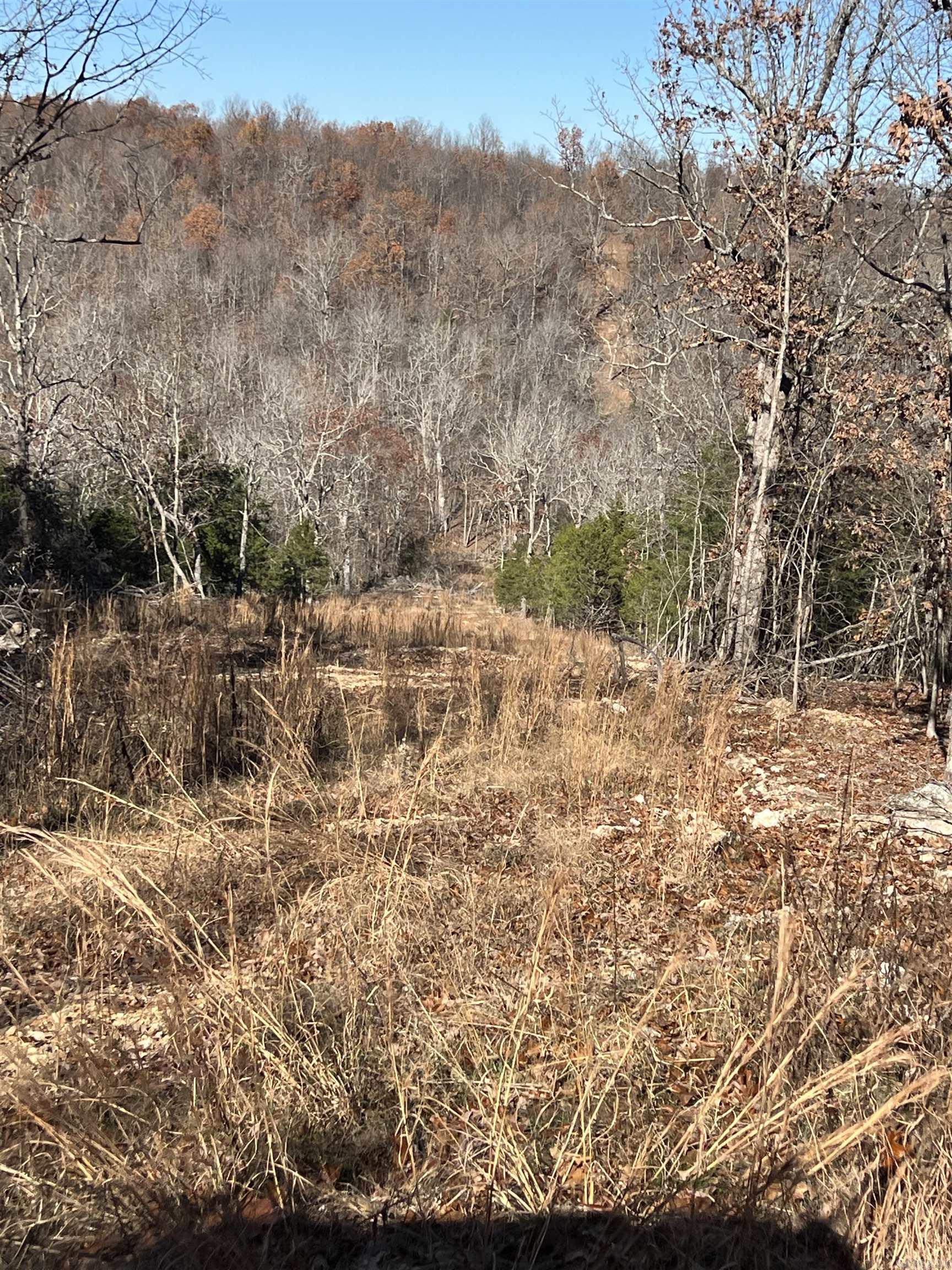 566  Bethany  Ravenden Springs, AR