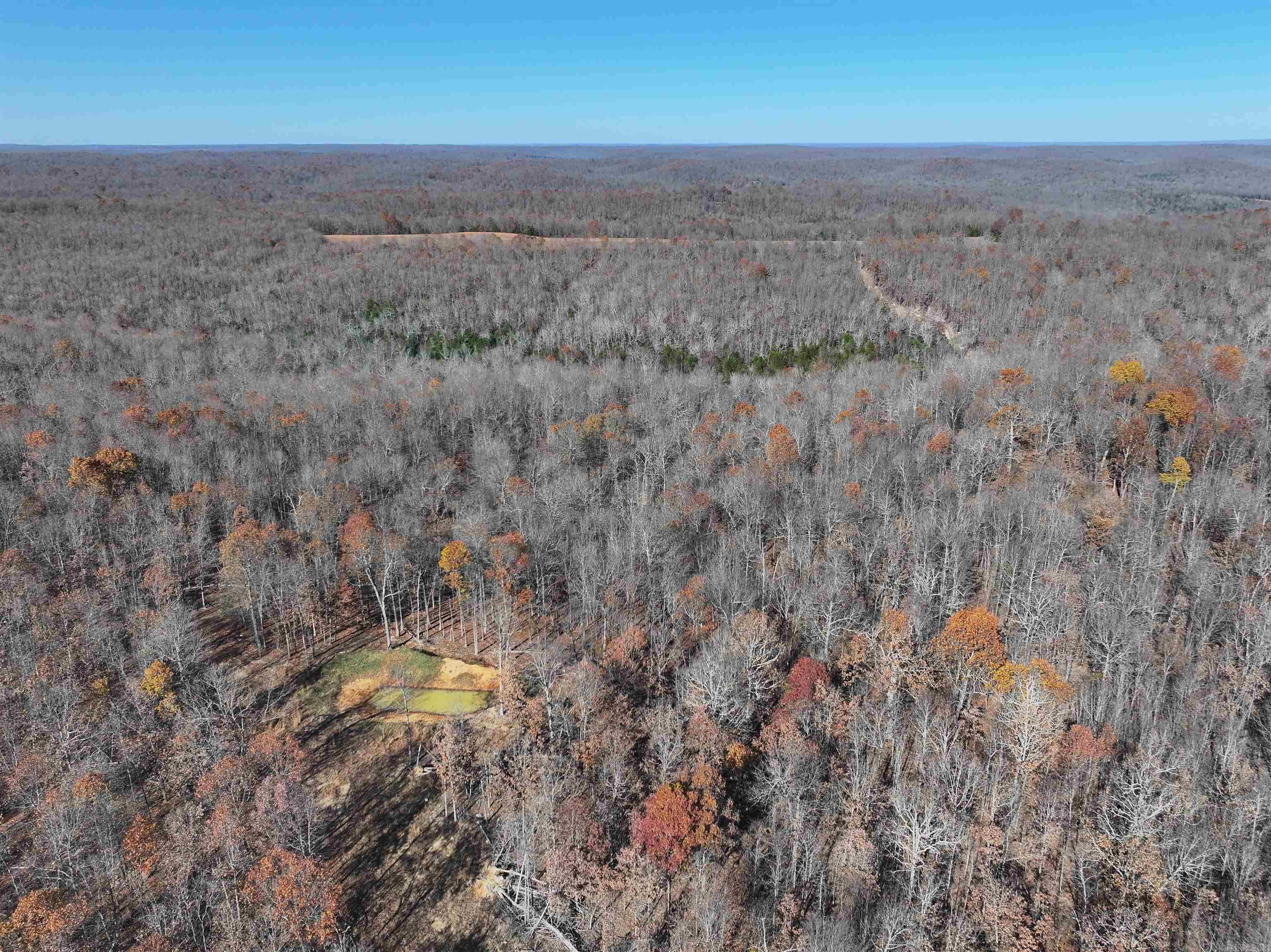 566  Bethany  Ravenden Springs, AR