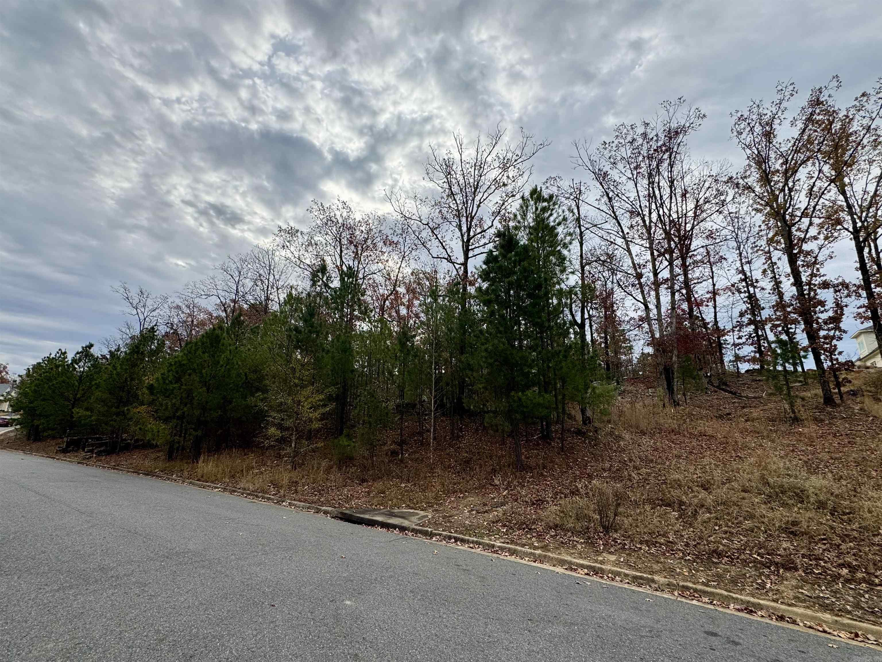 Lot 8  Waterview Meadow  Roland, AR