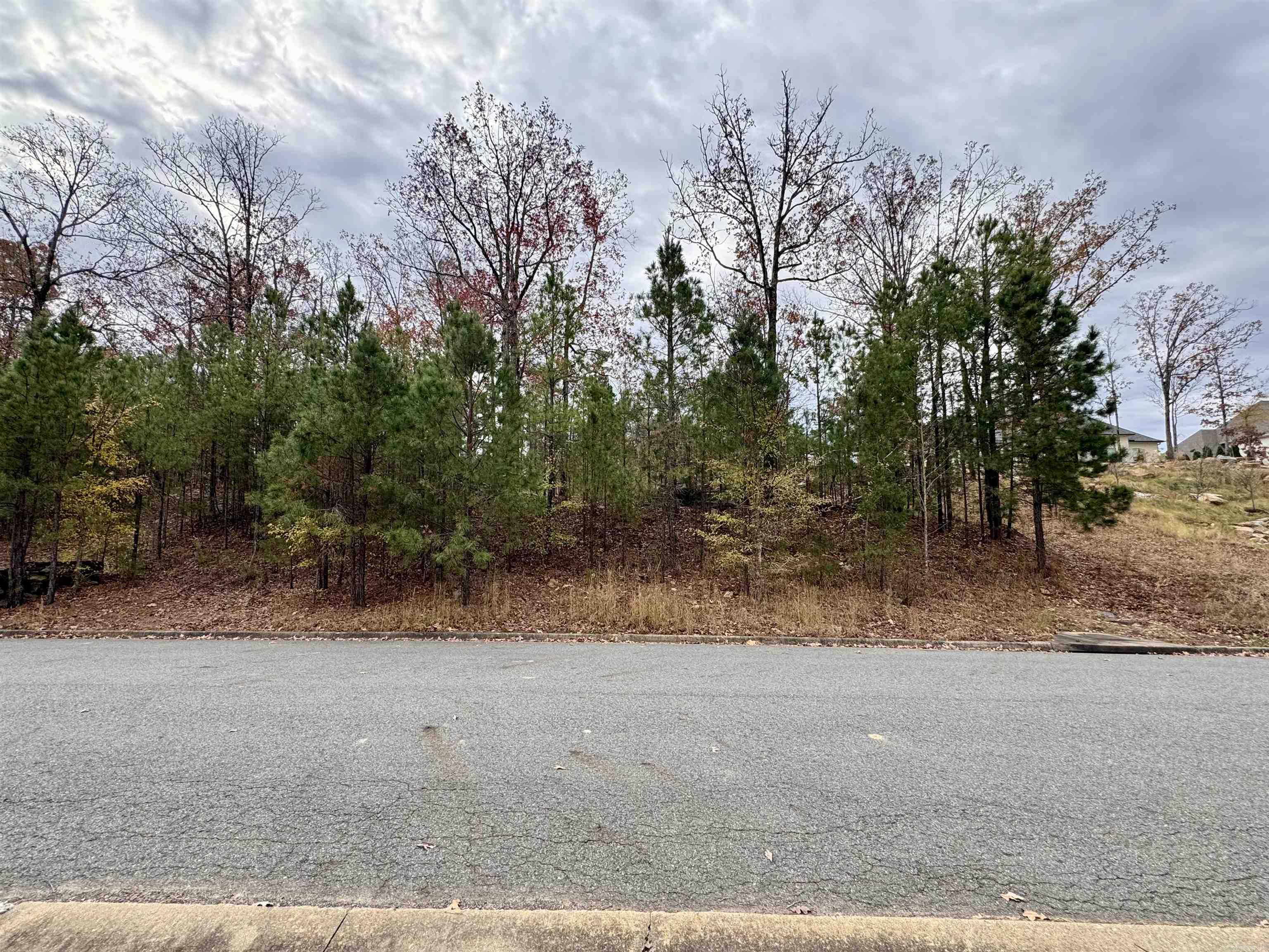 Lot 8  Waterview Meadow  Roland, AR