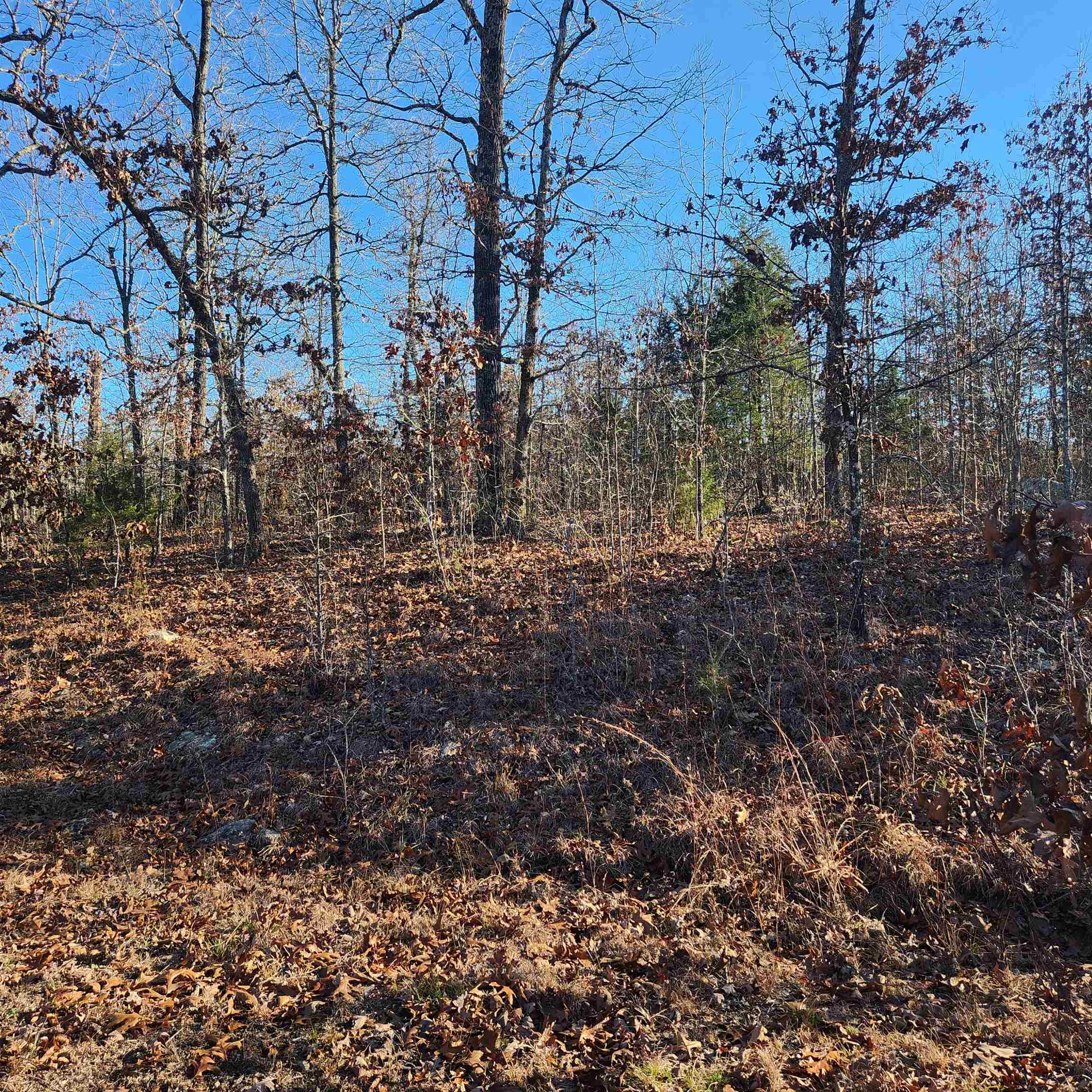 808 W Forest Hills  Horseshoe Bend, AR