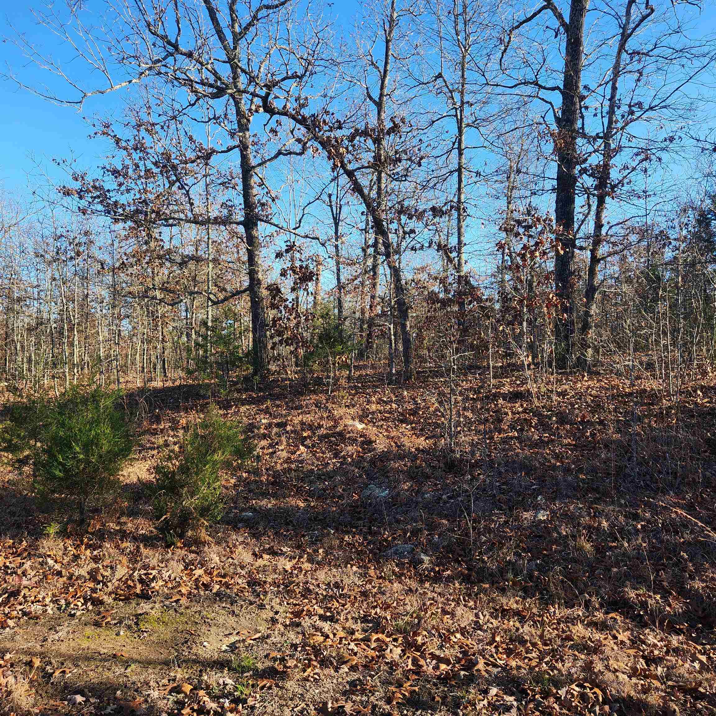 808 W Forest Hills  Horseshoe Bend, AR