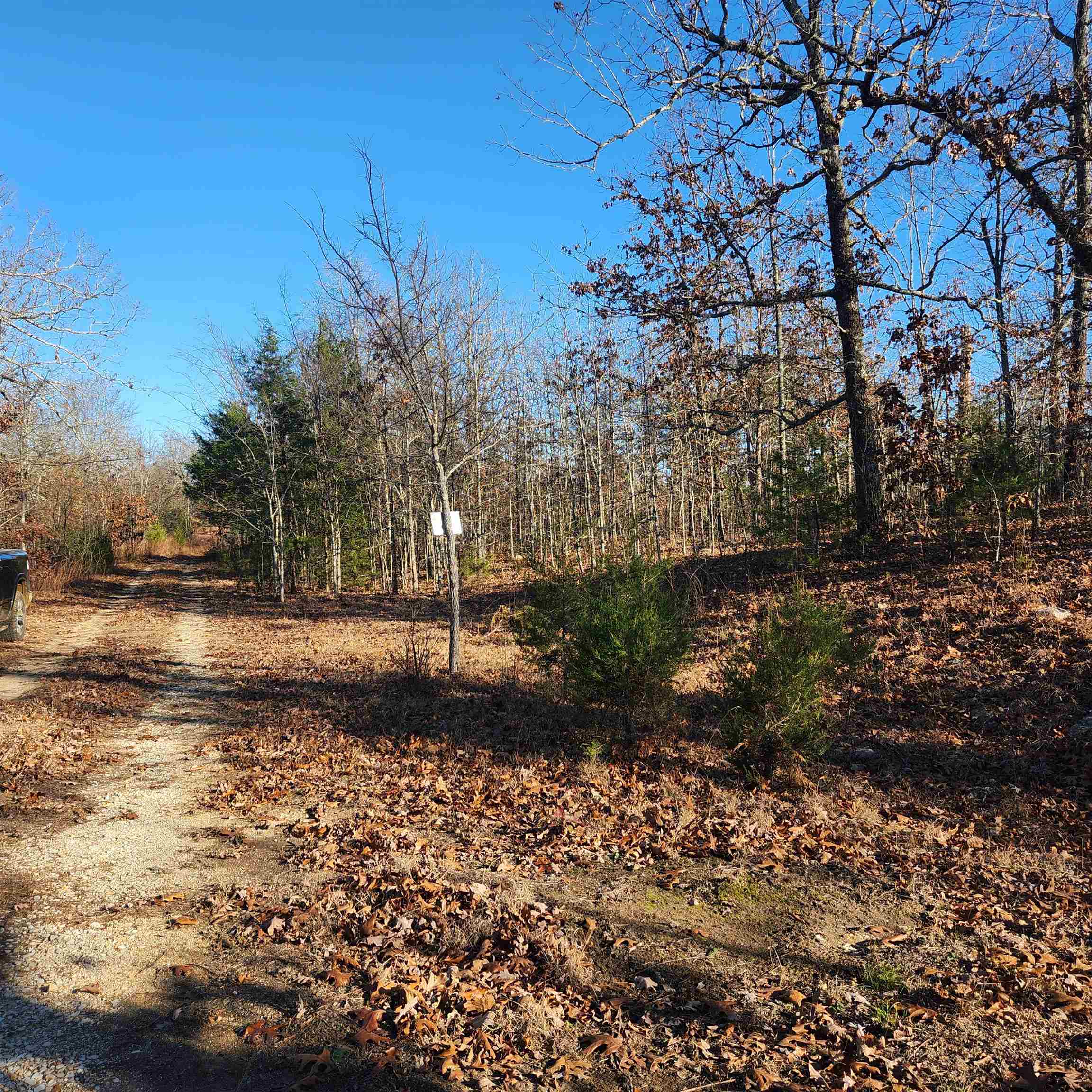808 W Forest Hills  Horseshoe Bend, AR