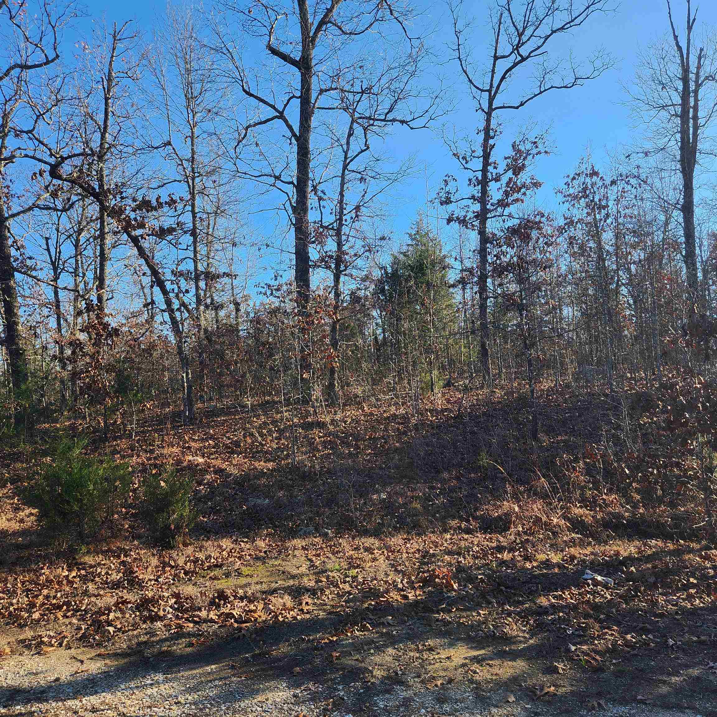808 W Forest Hills  Horseshoe Bend, AR