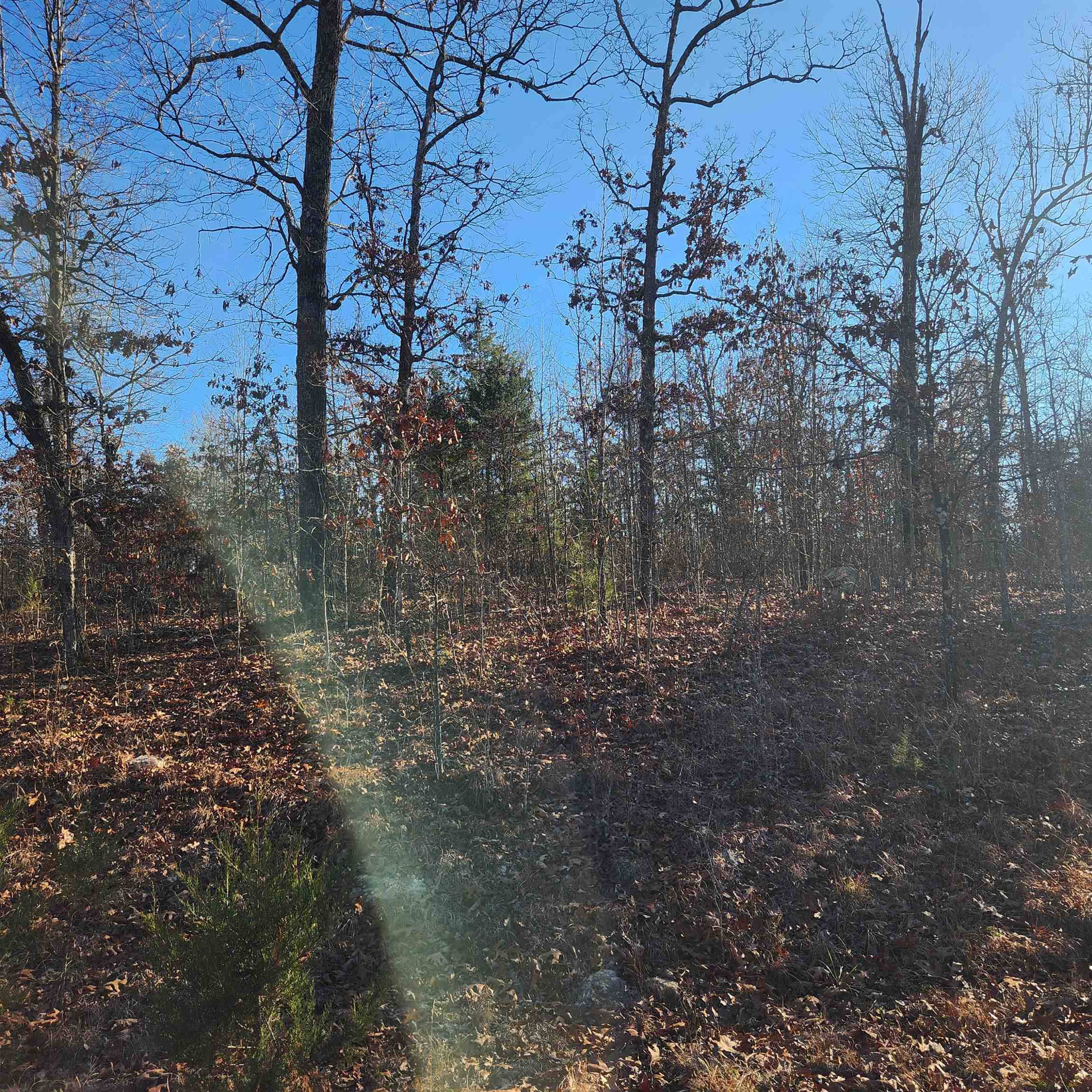 808 W Forest Hills  Horseshoe Bend, AR