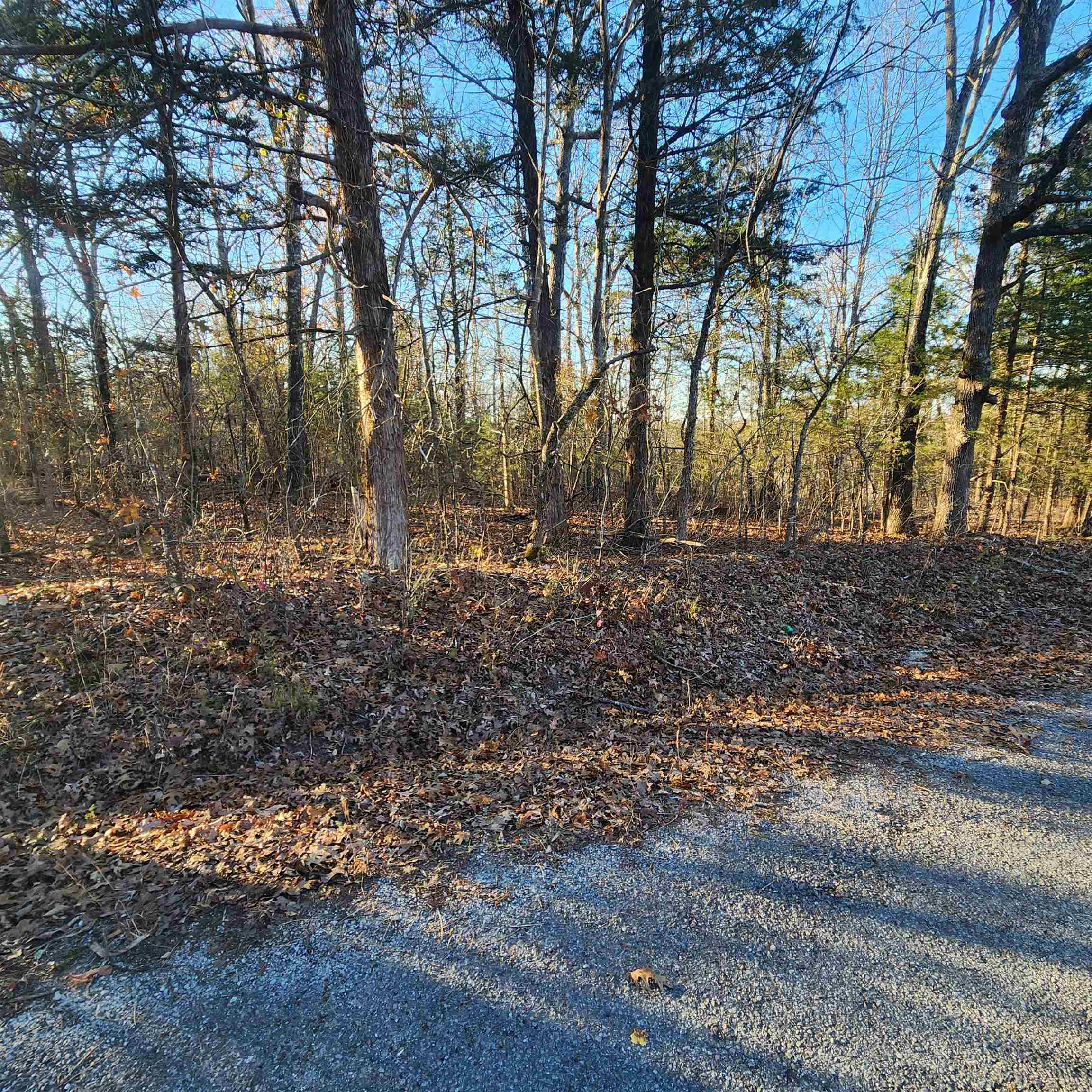 1505  Riverview  Horseshoe Bend, AR