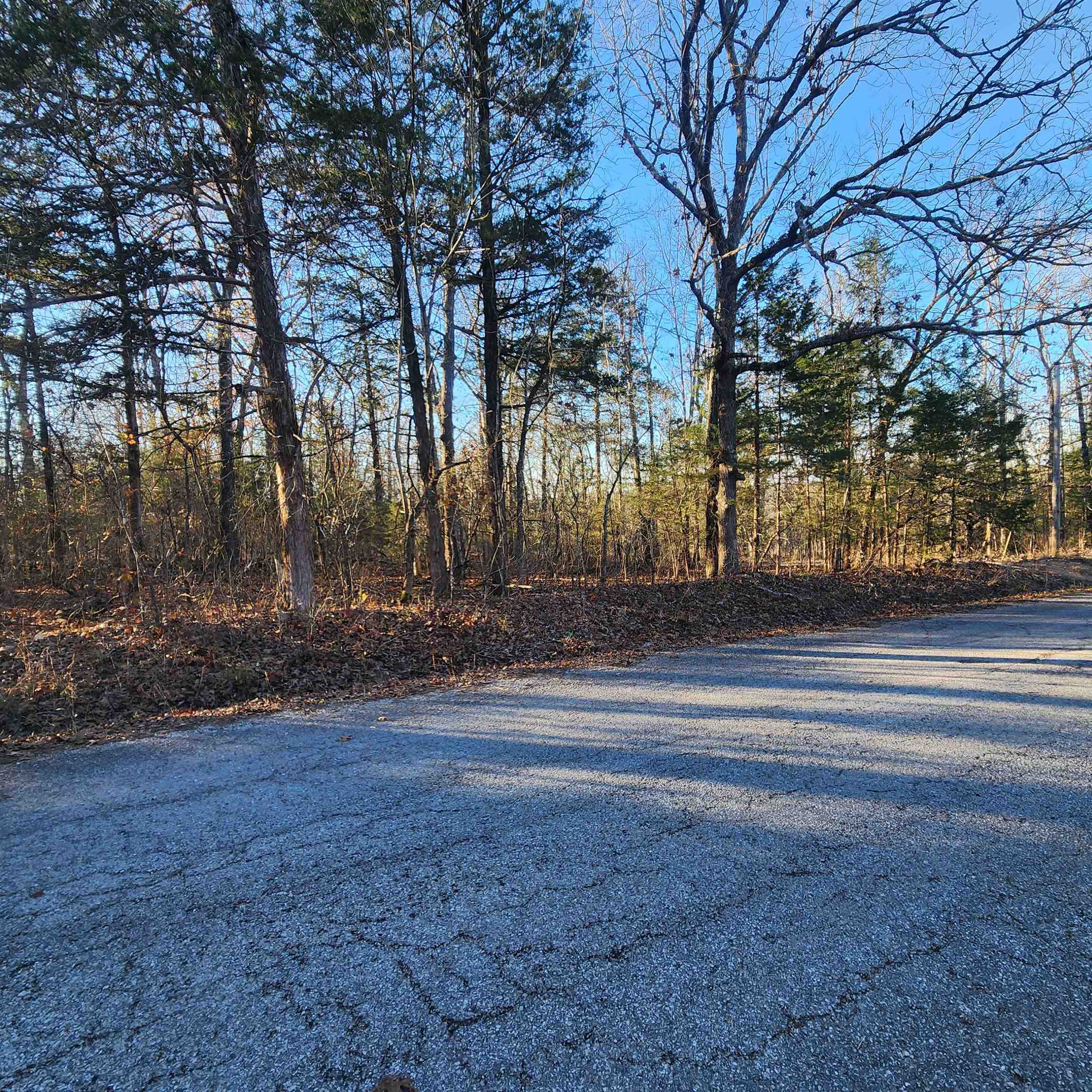 1505  Riverview  Horseshoe Bend, AR