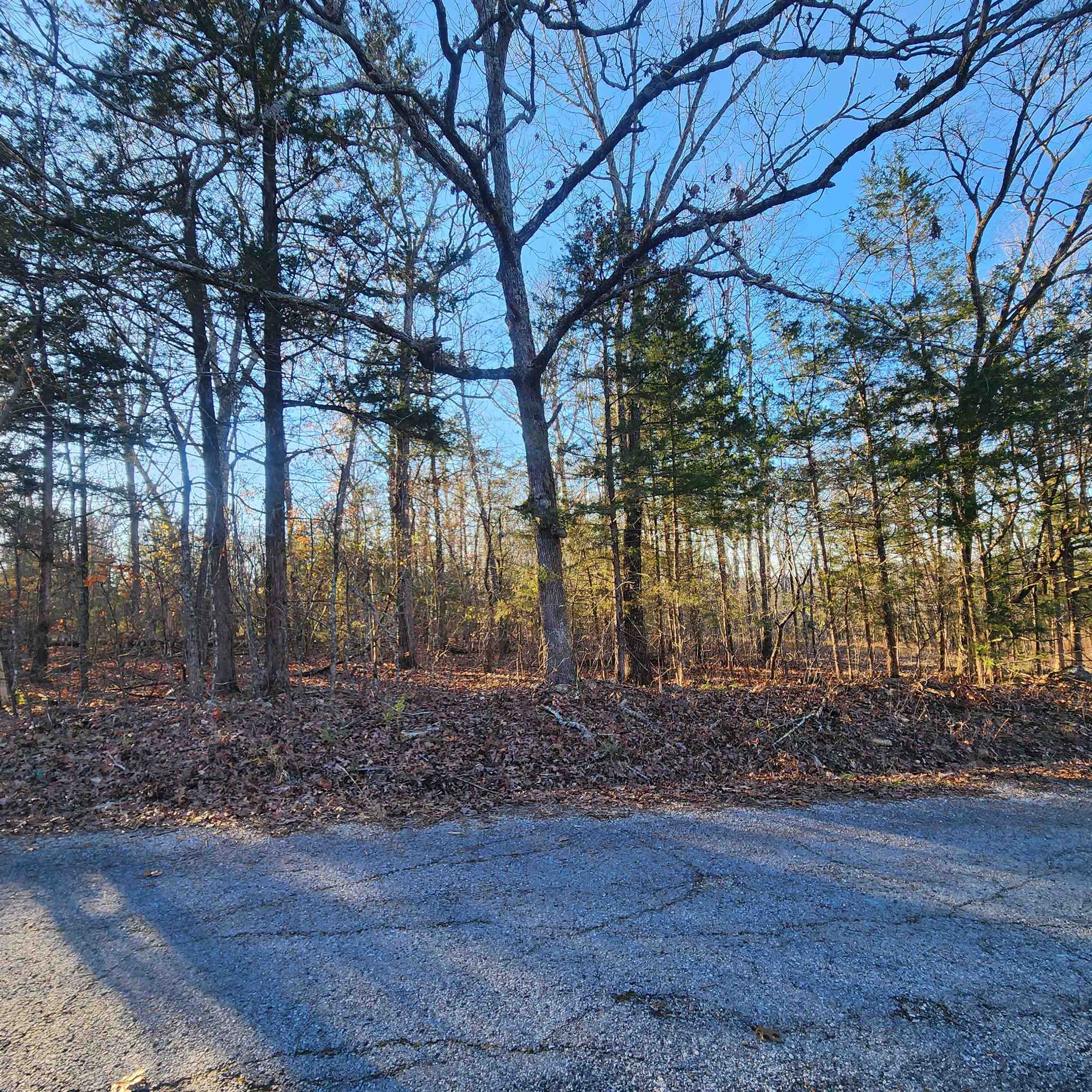 1505  Riverview  Horseshoe Bend, AR