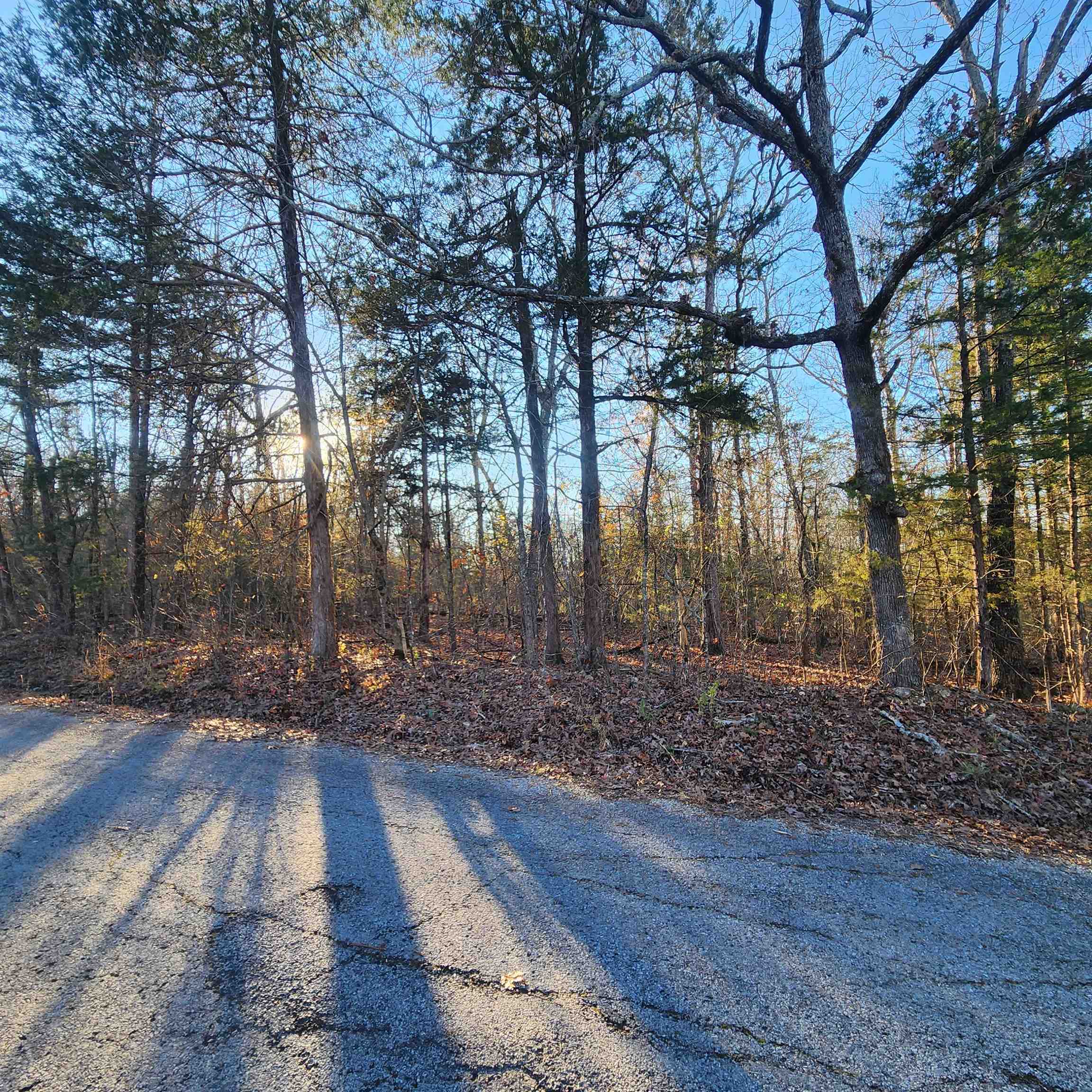 1505  Riverview  Horseshoe Bend, AR