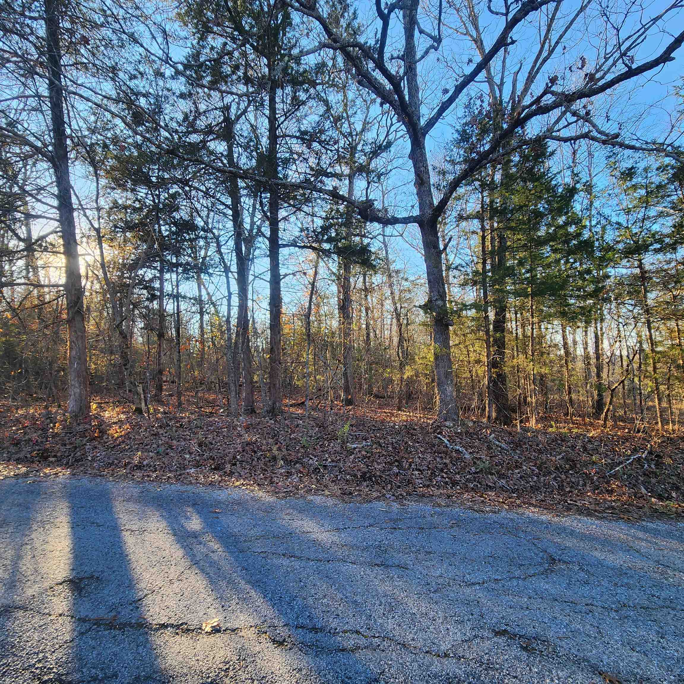 1505  Riverview  Horseshoe Bend, AR
