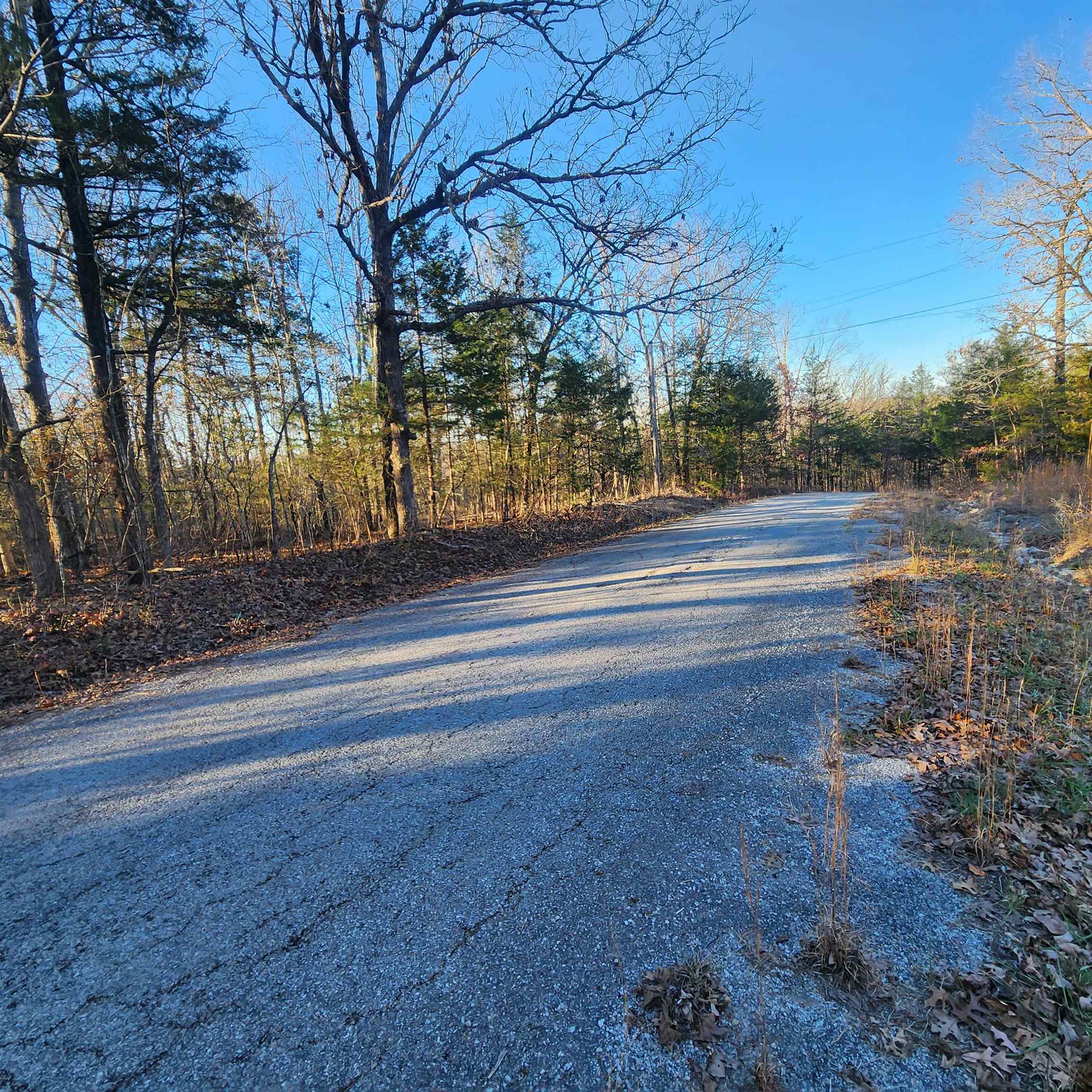 1505  Riverview  Horseshoe Bend, AR